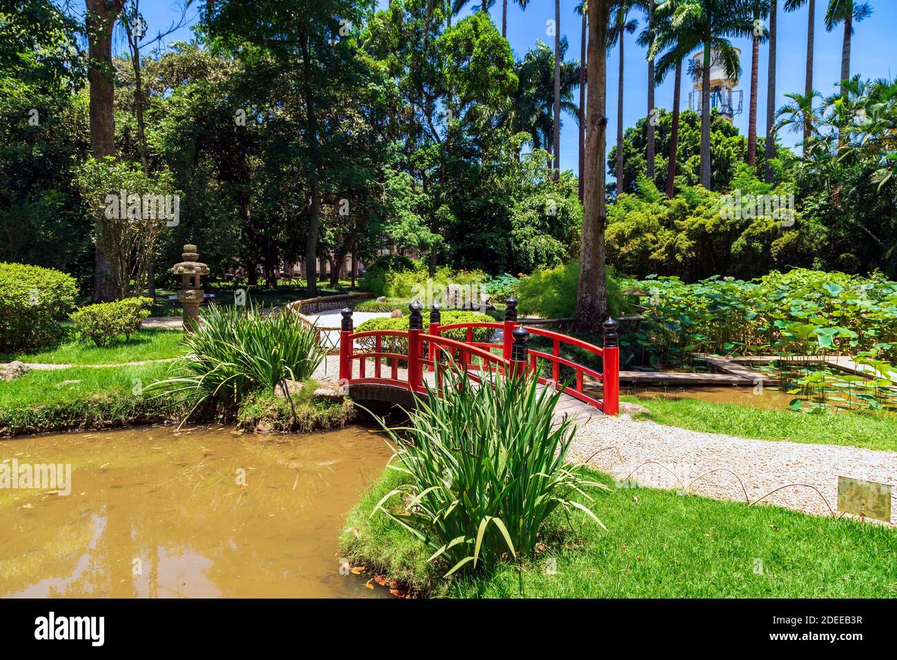 Jardin botanique de Rio de Janeiro, Brésil. Pont rouge dans le jardin japonais. Banque D'Images