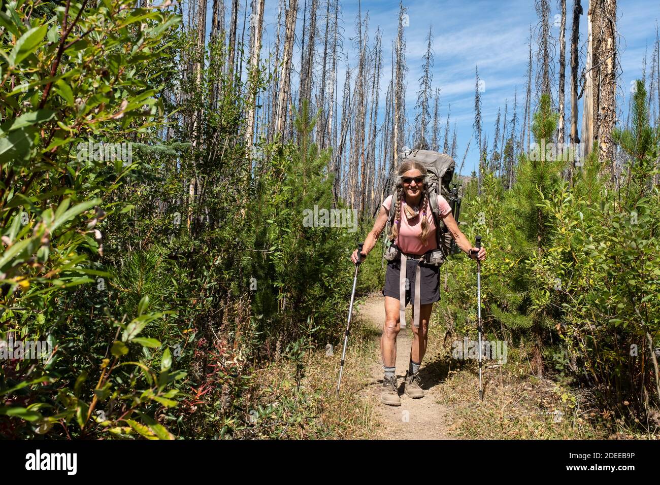 WA17704-00..... WASHINGTON - Femme remballant le sentier Boundary Trail #533 près de Iron Gate dans la région sauvage de Pasayten, dans la forêt nationale de Wenatchee d'Okanogan. Banque D'Images