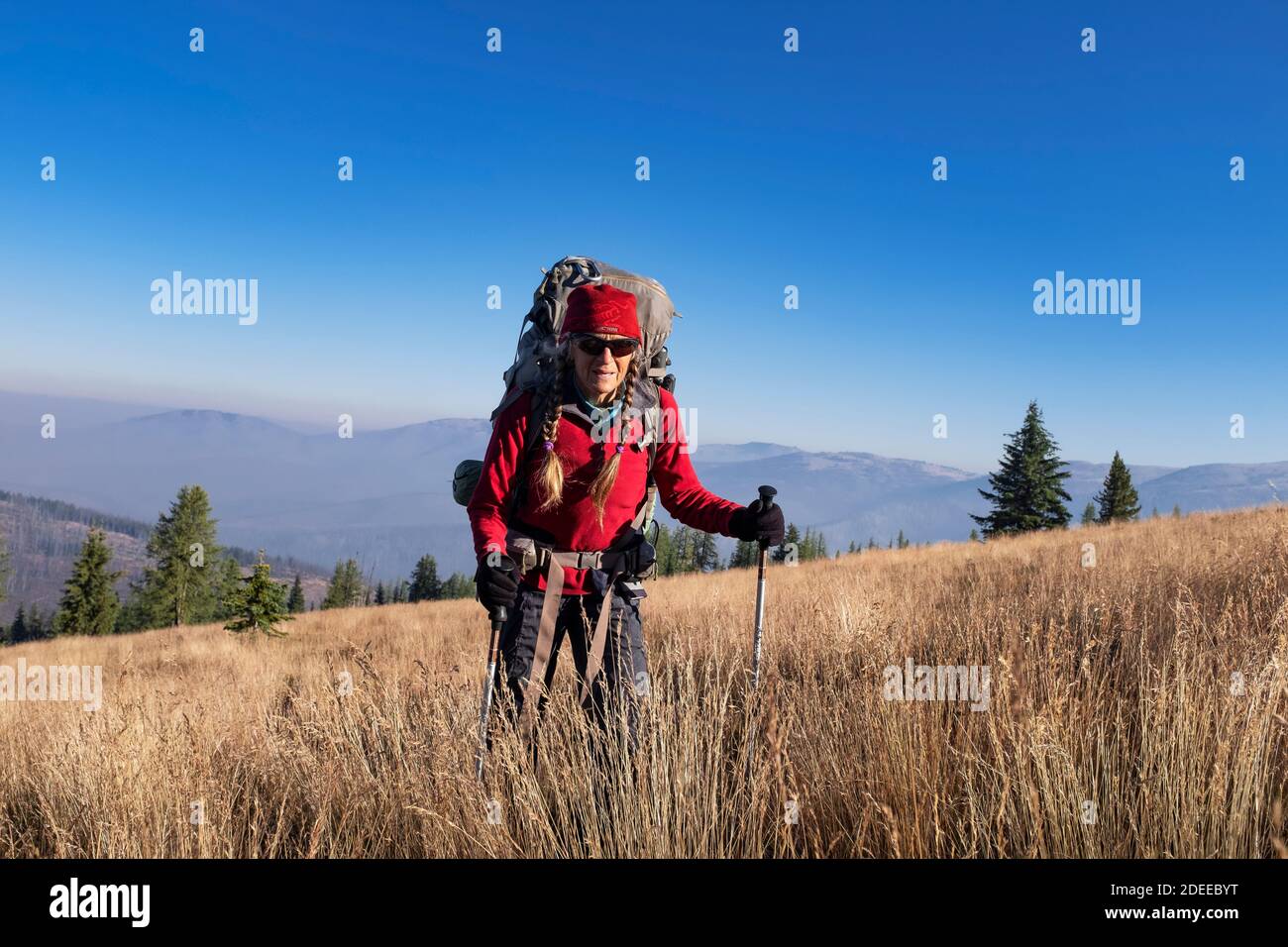 WA17716-00..... WASHINGTON - une femme qui fait marche arrière près de Sheep Mountain le long de BoundaryTrail #533, Pasayten Wilderness, Okanogan Wenatchee National Fores Banque D'Images