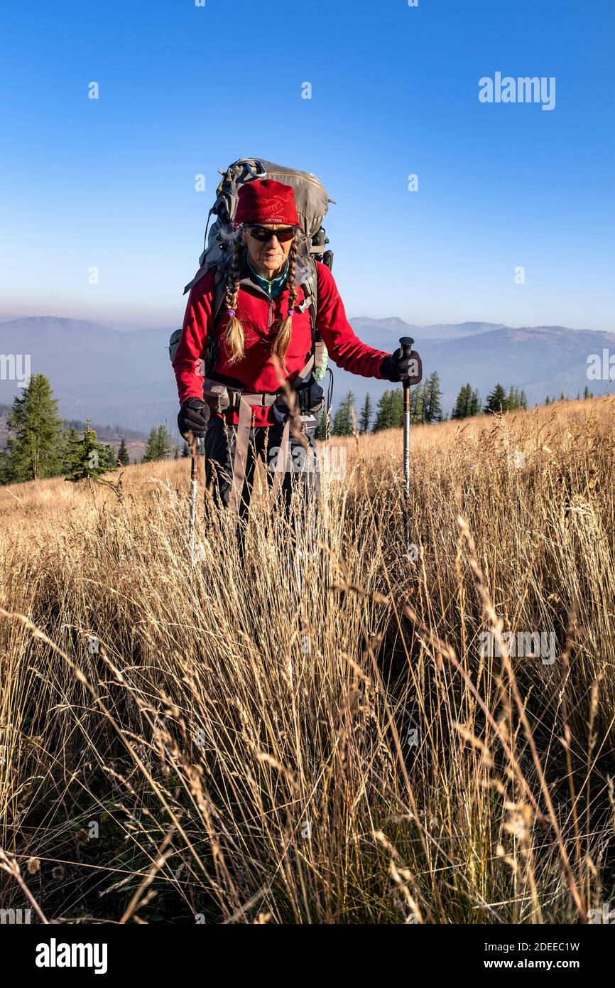 WA17717-00..... WASHINGTON - une femme qui fait marche arrière près de Sheep Mountain le long de BoundaryTrail #533, Pasayten Wilderness, Okanogan Wenatchee National Fores Banque D'Images