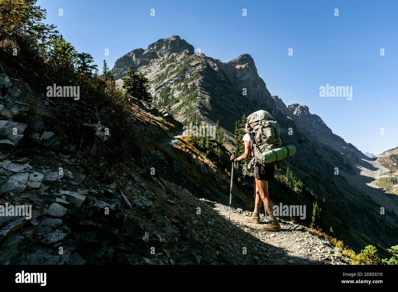 WA17733-00..... WASHINGTON - Femme remballant le Pacific Crest Trail (PCT) près de Woody Pass, Pasayten Wilderness, Okanogan Wenatchee National Forest Banque D'Images