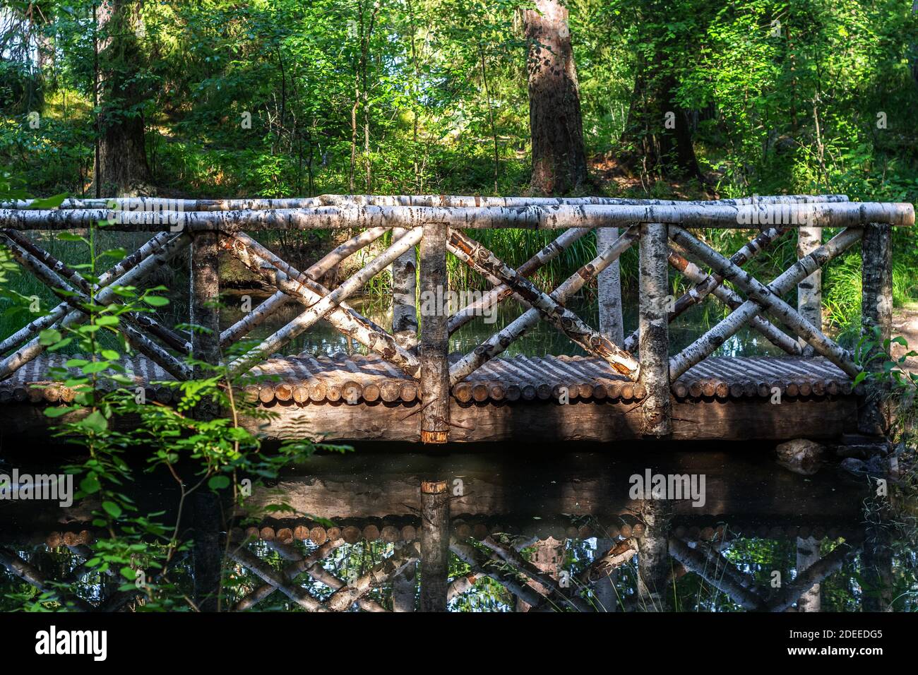 Passerelle piétonne au-dessus d'un étang en bois de bouleau avec une rampe couverte d'écorce de bouleau dans la forêt d'été. Banque D'Images