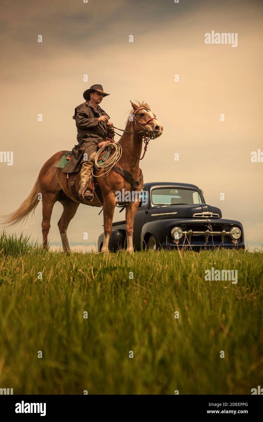 Cowboy sur cheval Banque D'Images