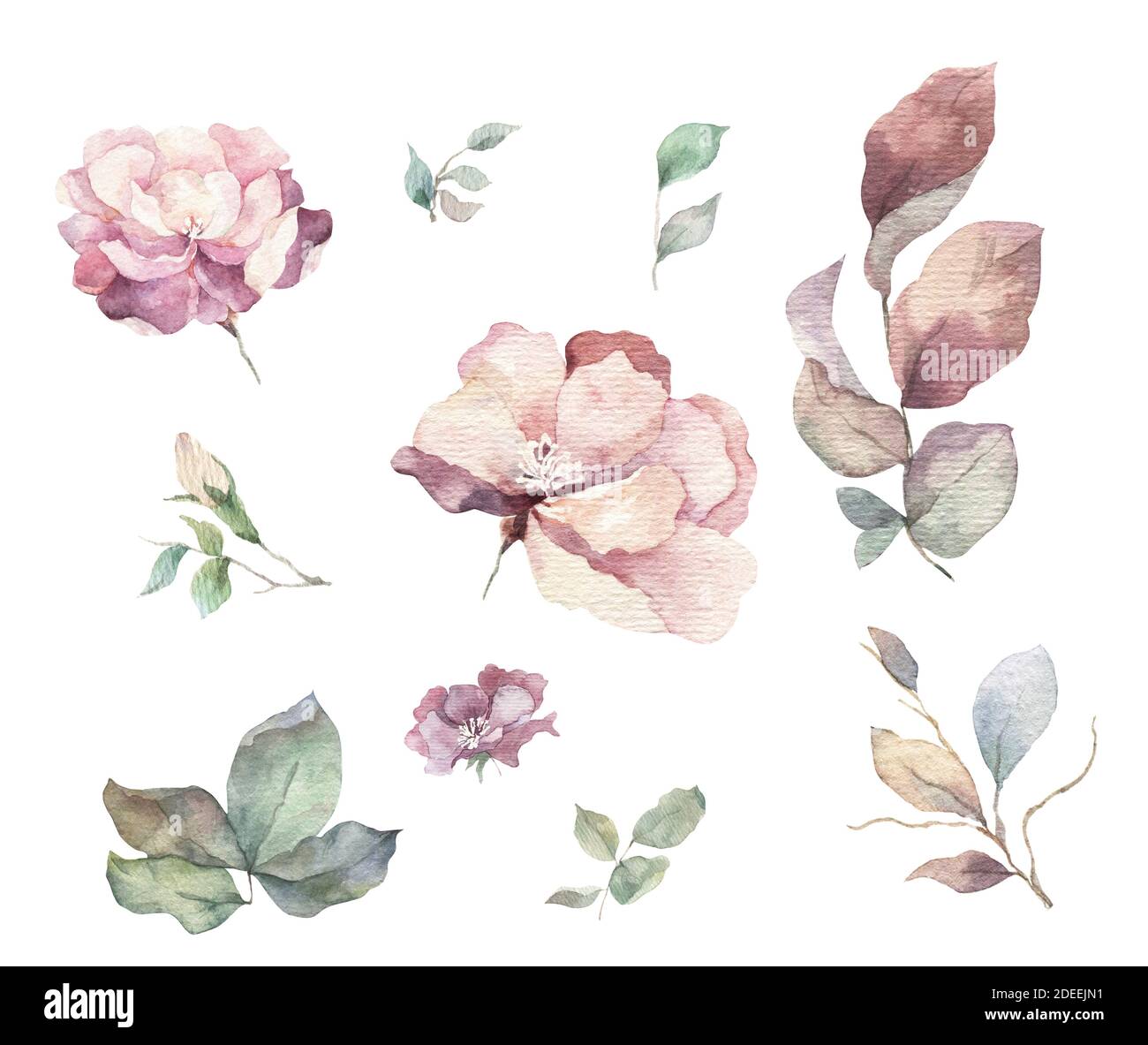 Roses rouges, blanches et bleues, fleurs de pivoine et lilas et feuilles vertes invitation de mariage, fleurs roses avec feuilles et carte d'invitation florale, bouquet avec Banque D'Images