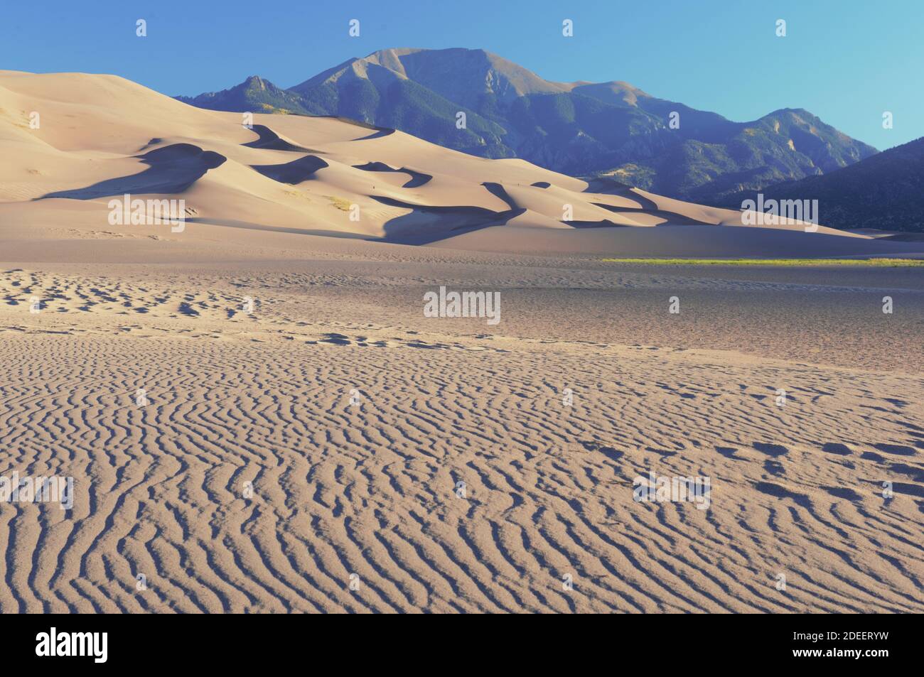 Great Sand Dunes National Park and Preserve Banque D'Images