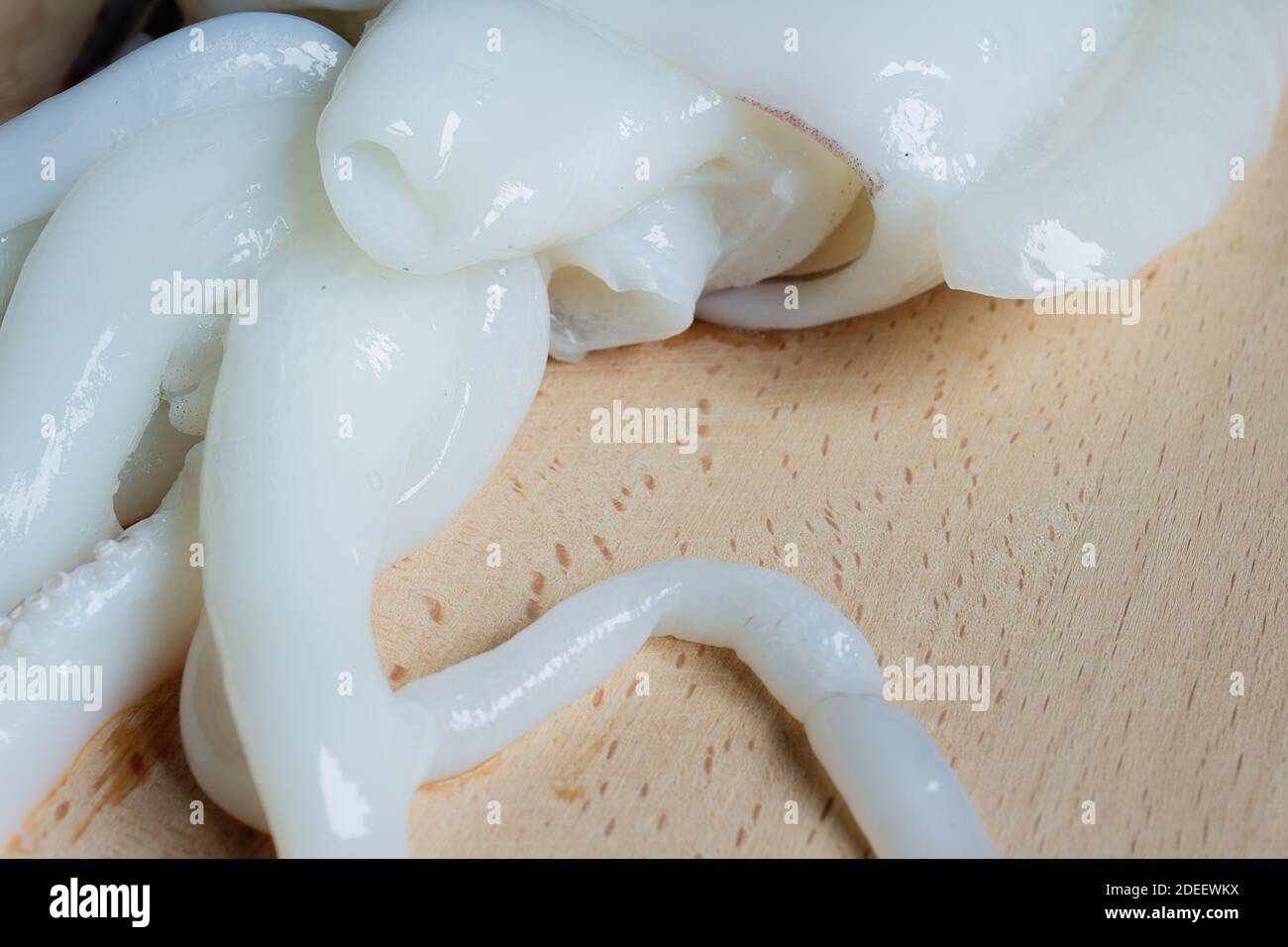 Tête de seiche brute et tentacules sur bois élégant. Cuisson du poisson. Banque D'Images