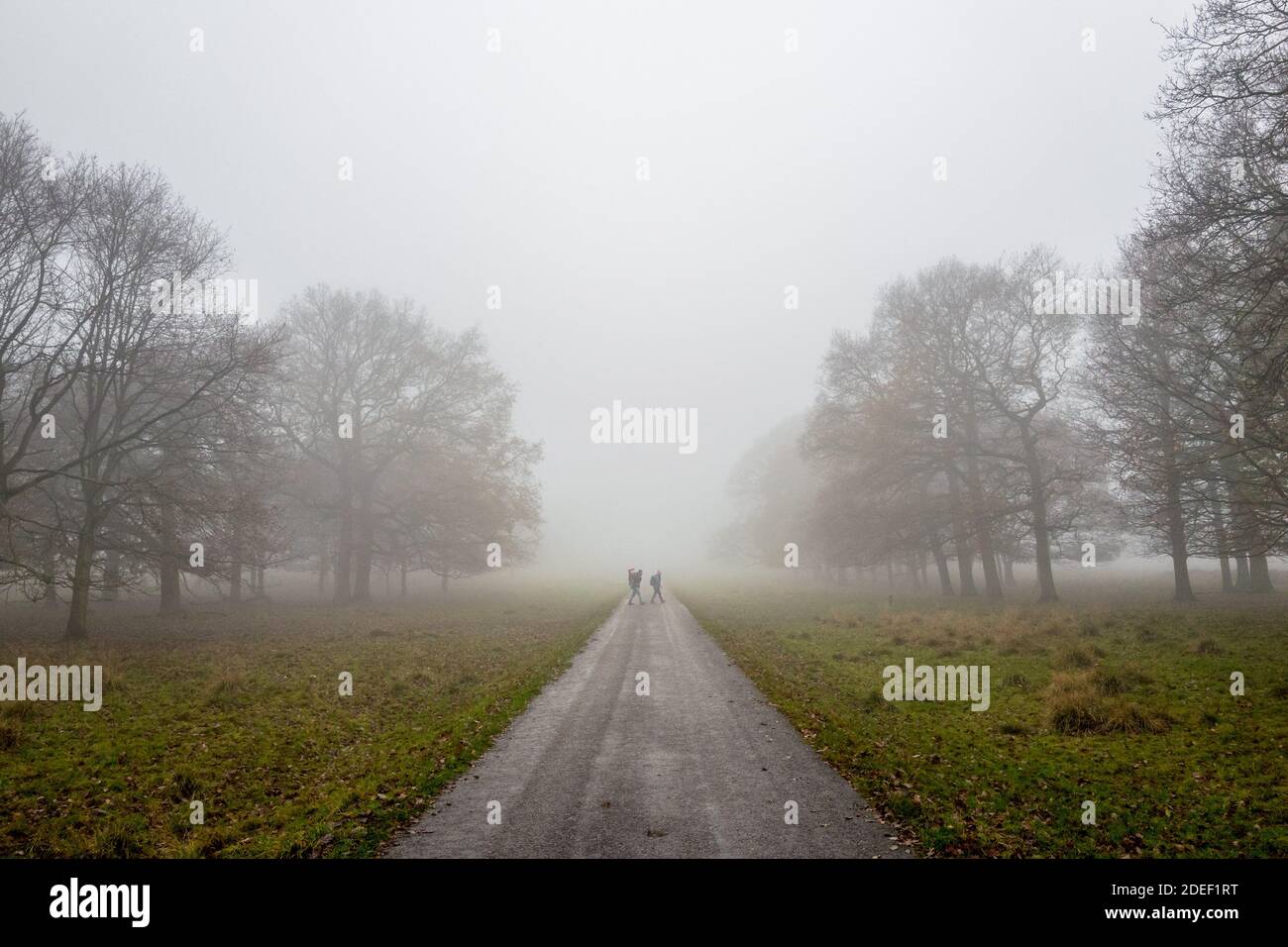 Les gens qui marchent le long d'une petite route de campagne bordée d'arbres lors d'une soirée brumeuse tardive. Banque D'Images