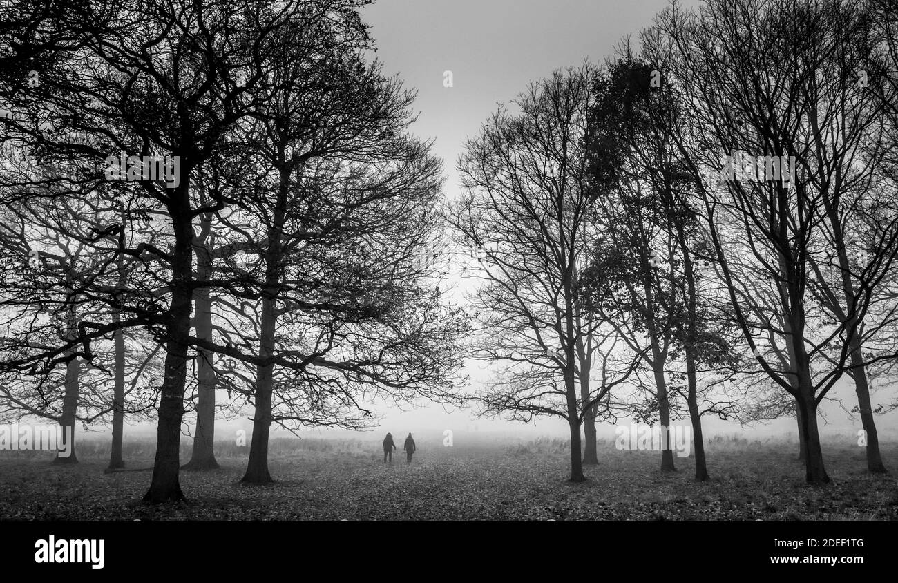 Les gens qui marchent le long d'une petite piste de campagne bordée d'arbres lors d'une soirée brumeuse tardive. Banque D'Images