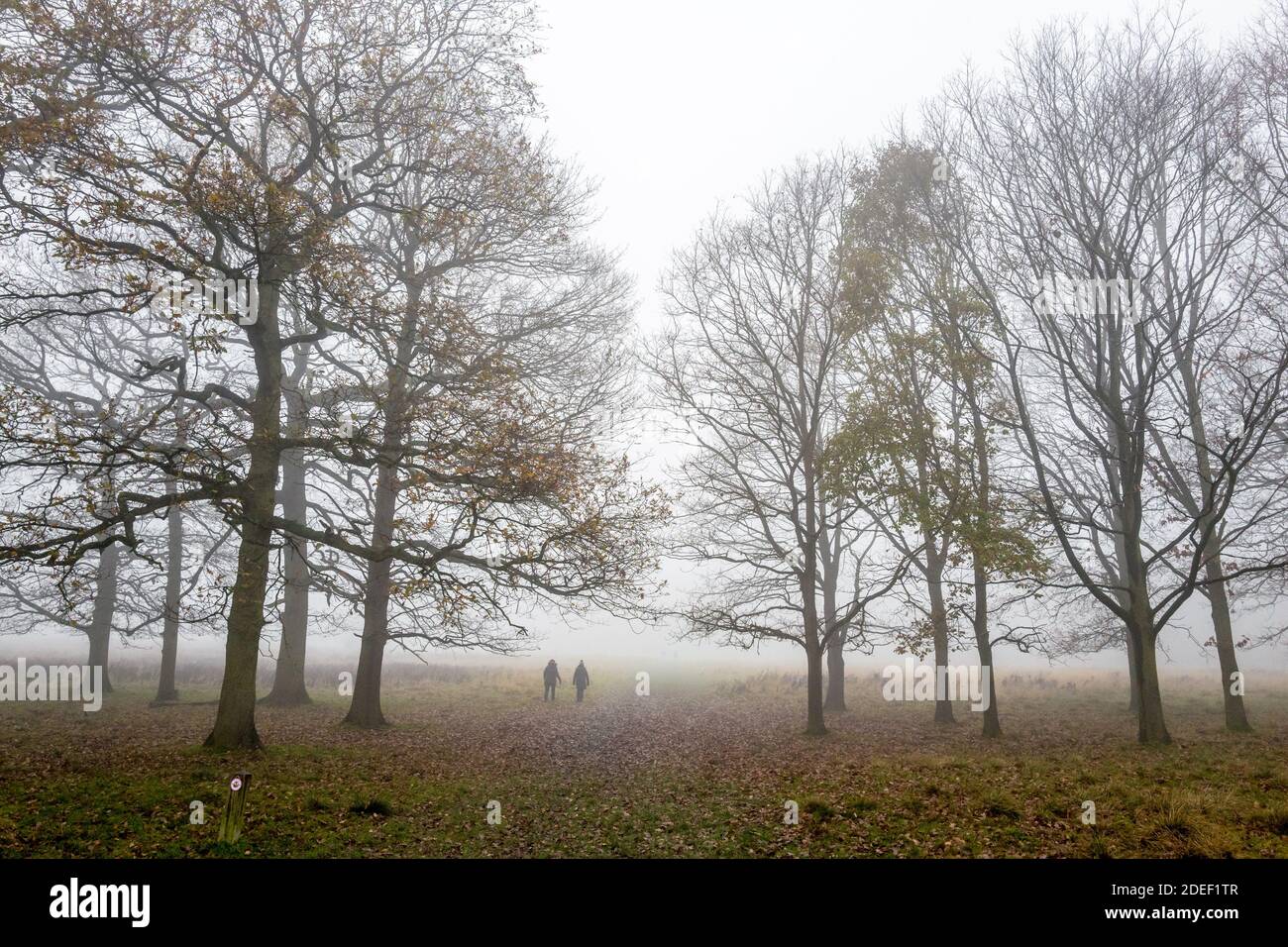 Les gens qui marchent le long d'une petite piste de campagne bordée d'arbres lors d'une soirée brumeuse tardive. Banque D'Images