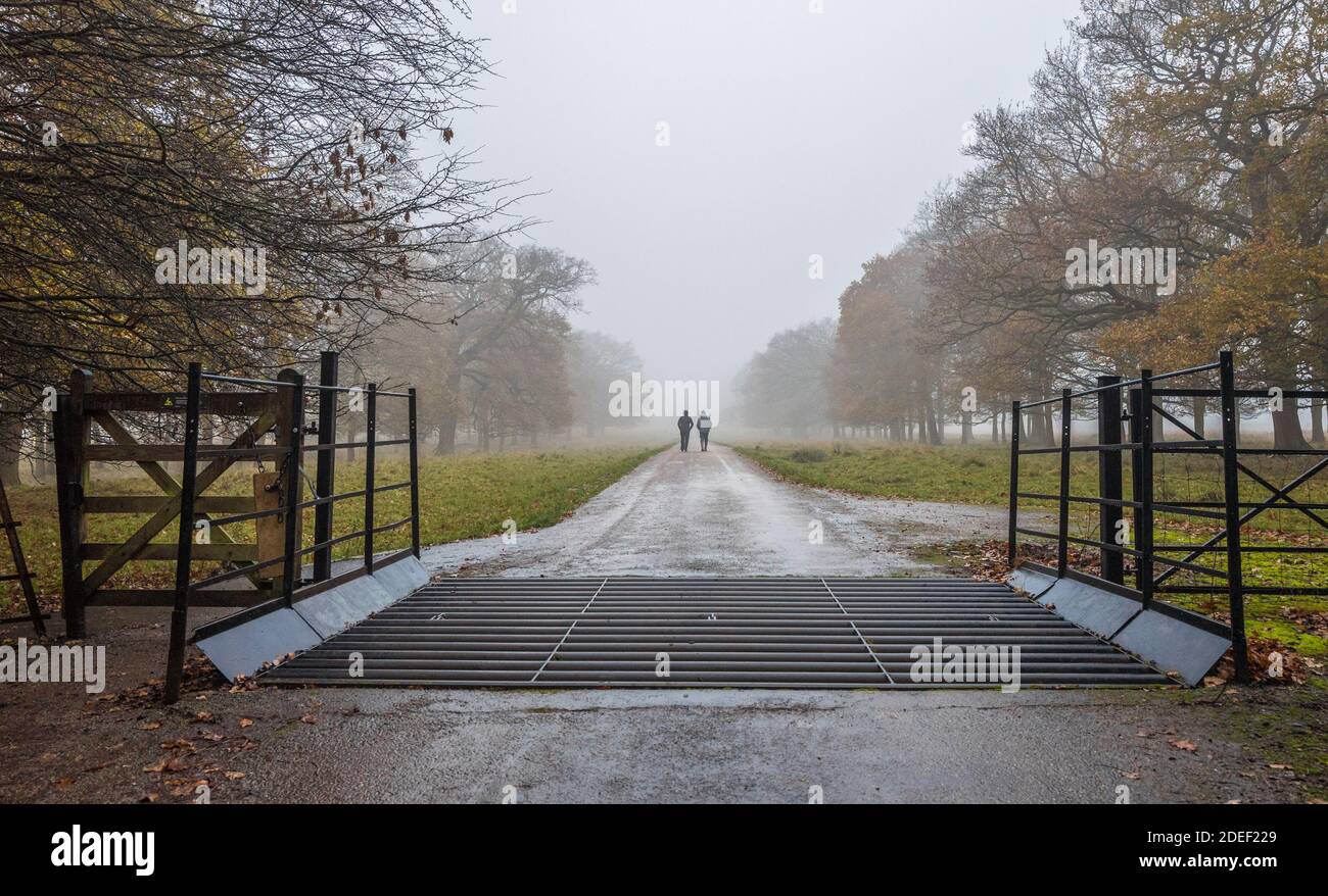 Les gens qui marchent le long d'une petite route de campagne bordée d'arbres lors d'une soirée brumeuse tardive. Banque D'Images