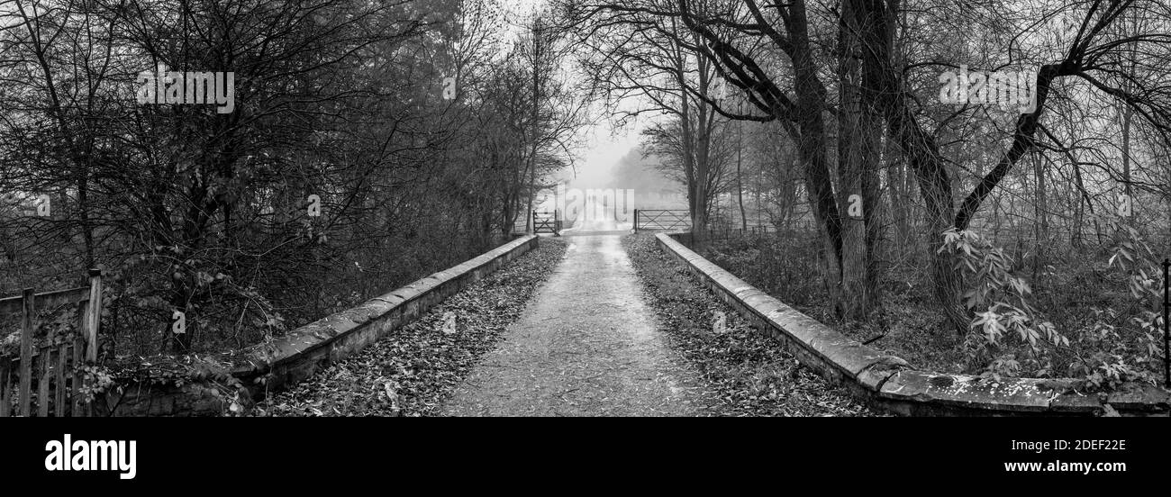 Les gens qui marchent le long d'une petite route de campagne bordée d'arbres lors d'une soirée brumeuse tardive. Banque D'Images