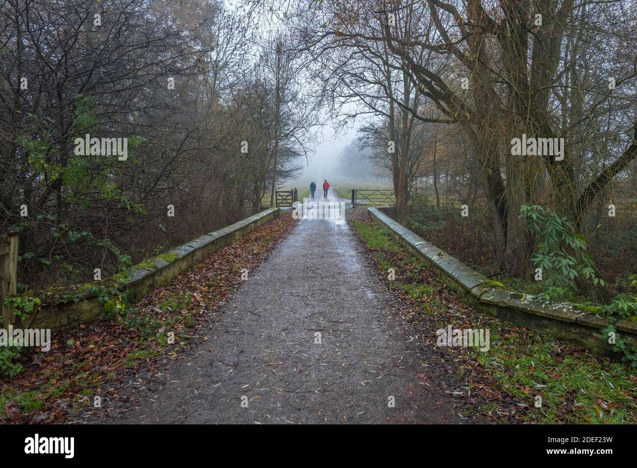 Les gens qui marchent le long d'une petite route de campagne bordée d'arbres lors d'une soirée brumeuse tardive. Banque D'Images