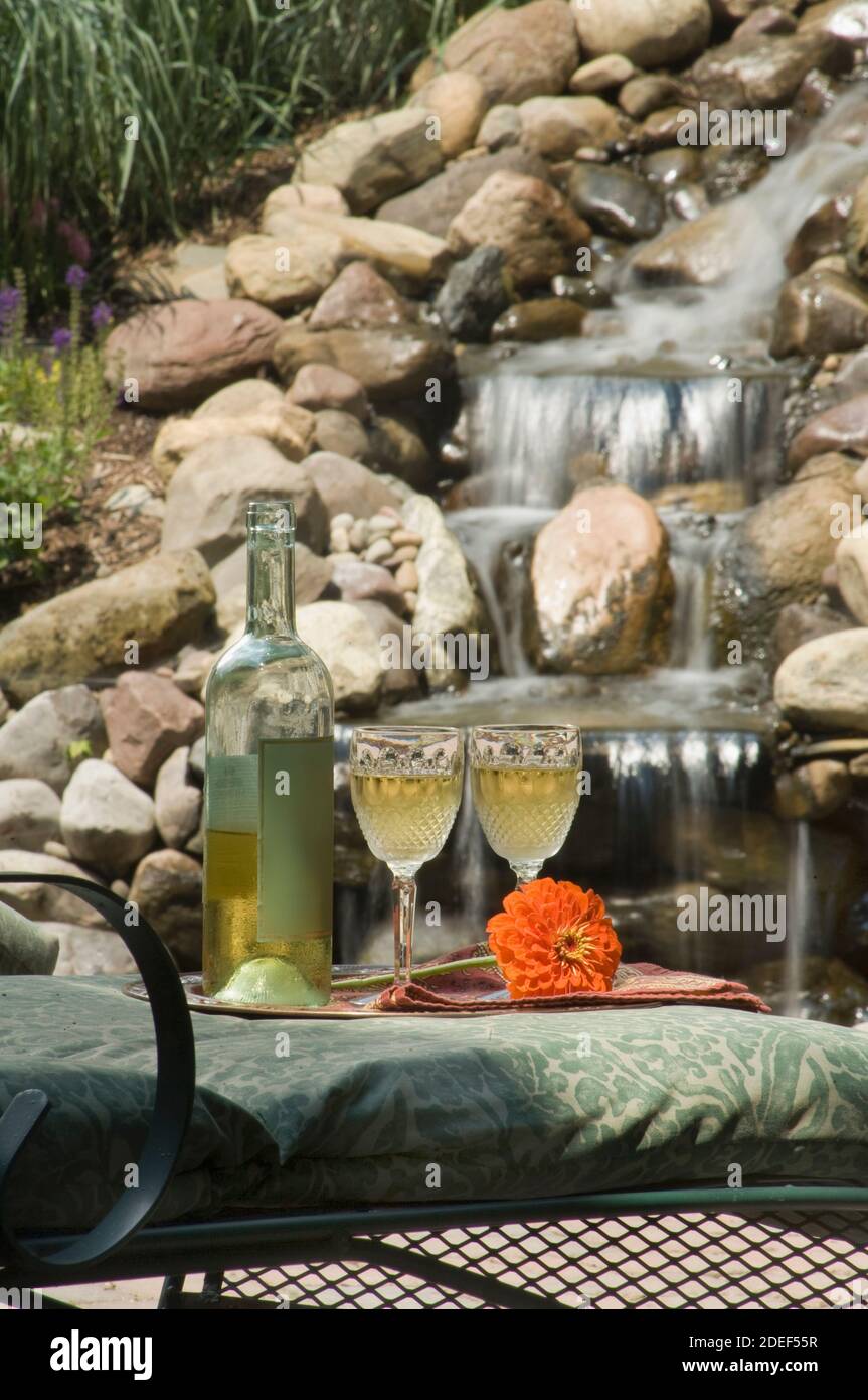 Vin et eau de jardin Banque D'Images