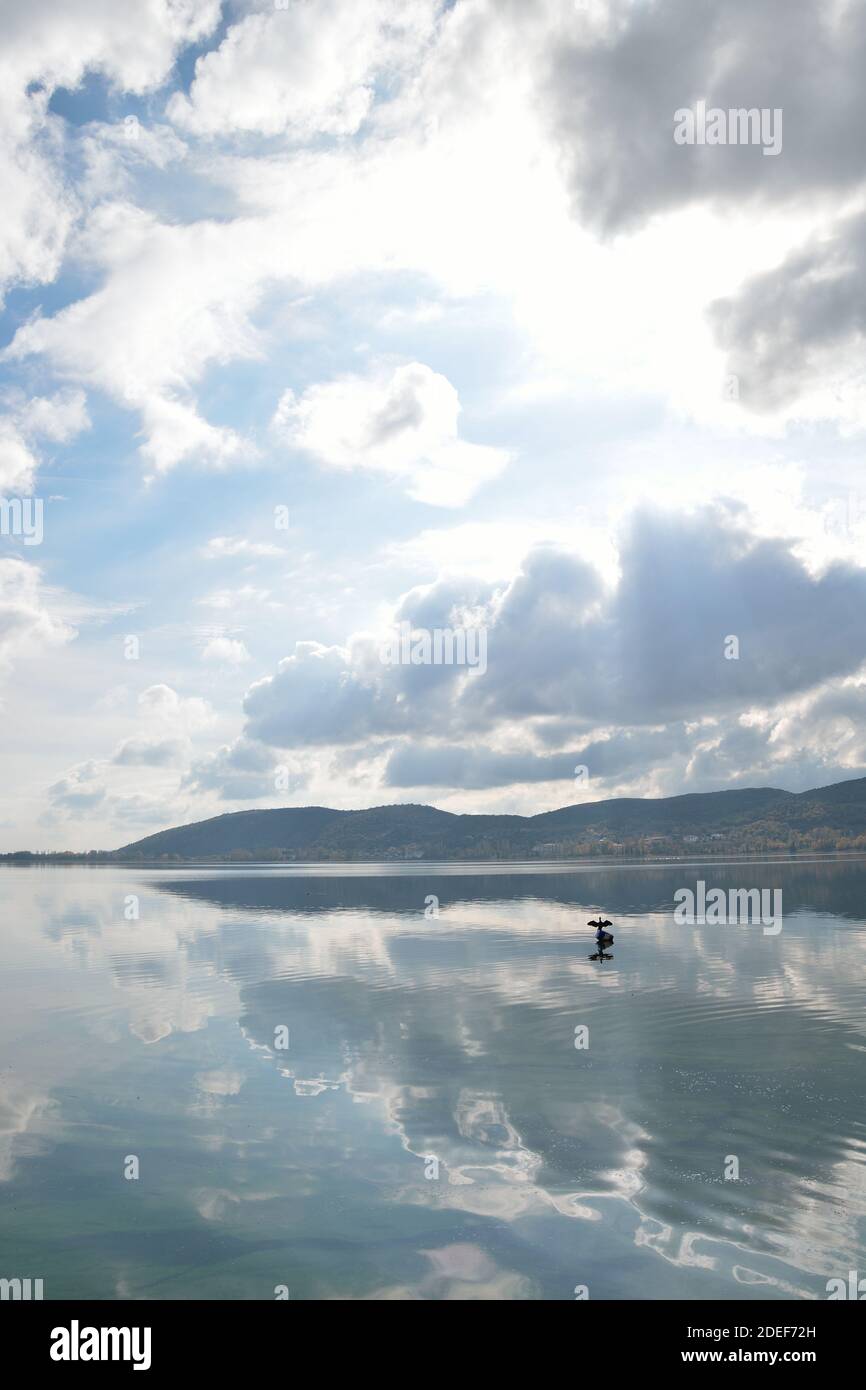 Cormorant desséchant ses ailes dans les eaux calmes du lac Banque D'Images