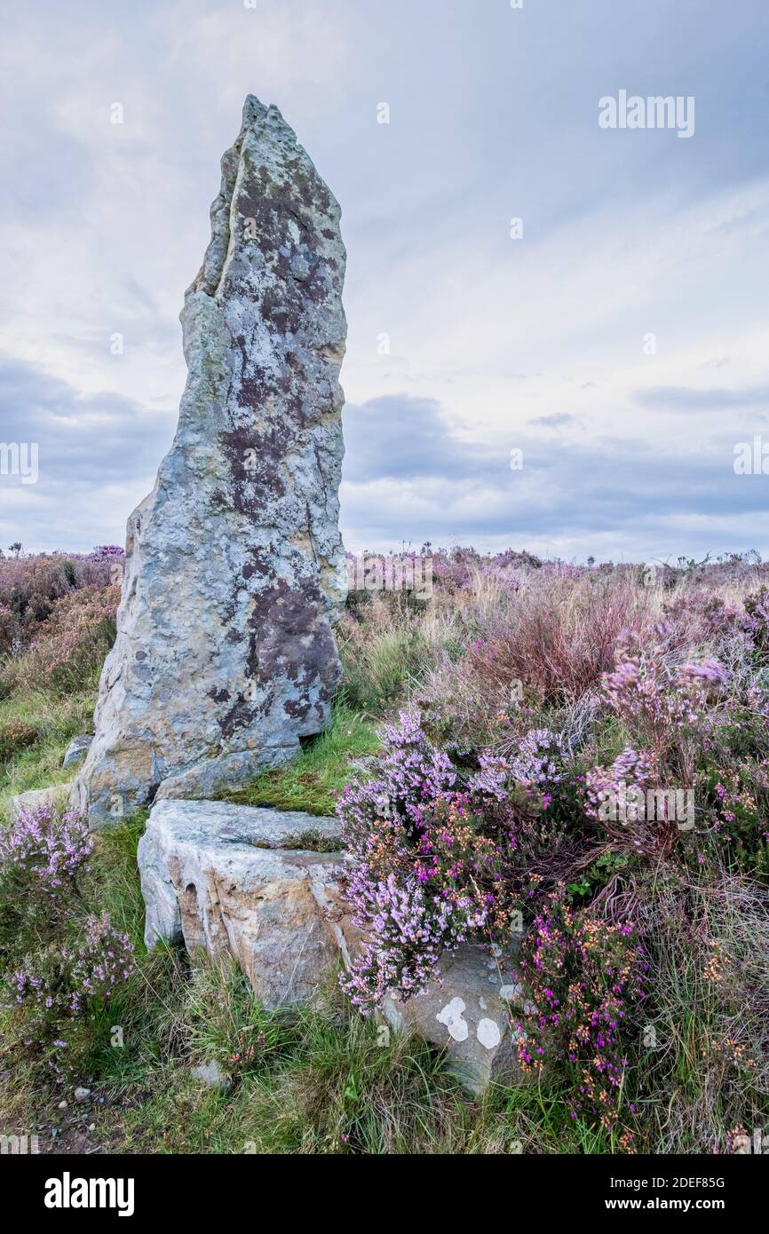 Une pierre sur le chemin Wheeldale, North York Moors Banque D'Images