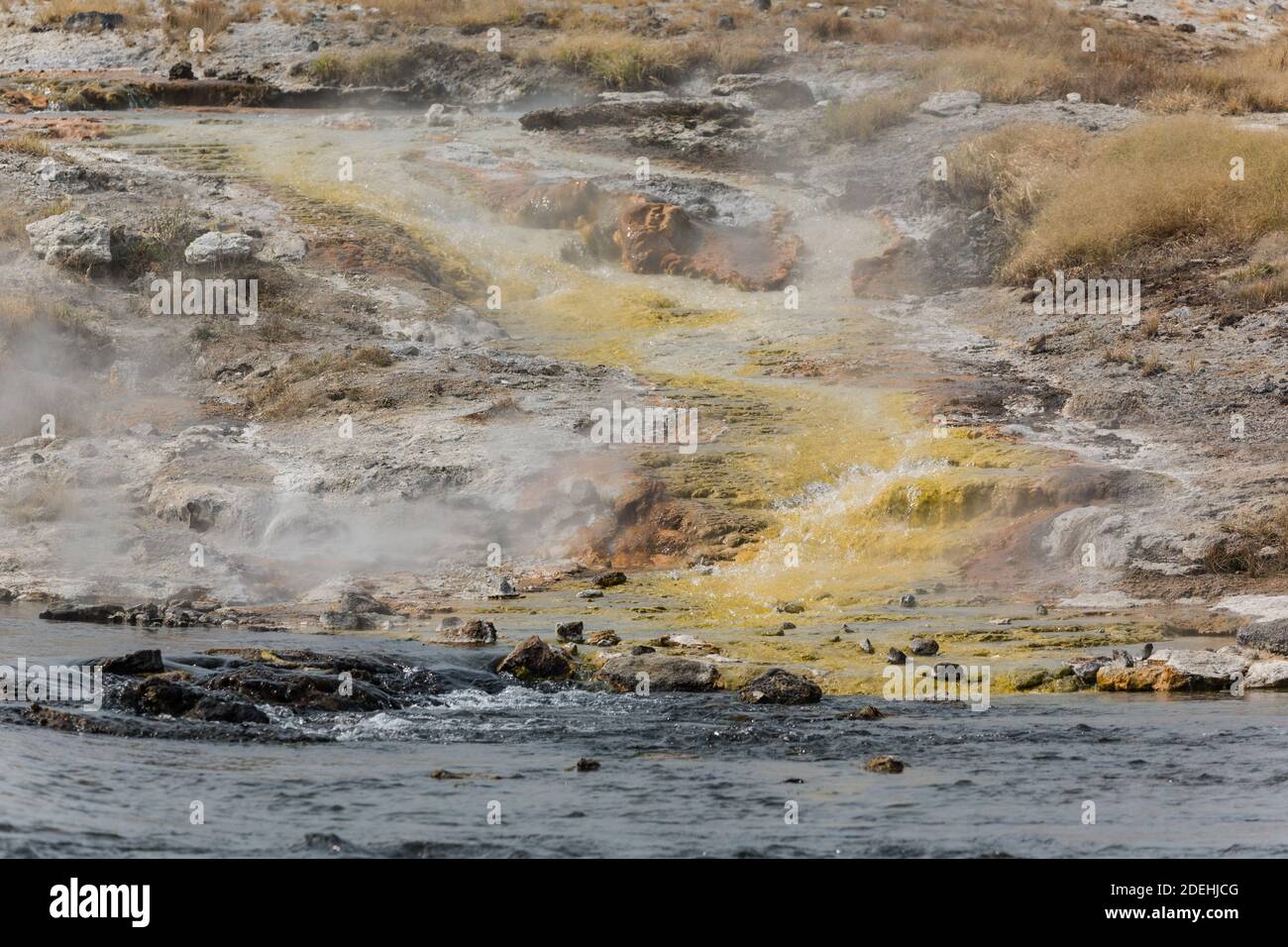 L'eau chaude coule sur des microbes thermophiles colorés lorsqu'elle pénètre dans la rivière Firehole à Biscuit Basin, parc national de Yellowstone, Wyoming, États-Unis. Banque D'Images