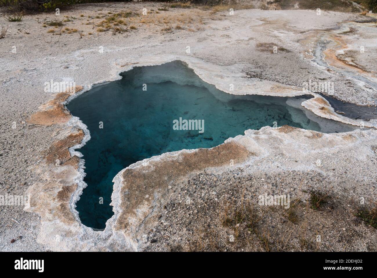 Le Blue Star Spring est une source chaude calme de clearwater dans le bassin supérieur de Geyser du parc national de Yellowstone dans le Wyoming, États-Unis. Banque D'Images