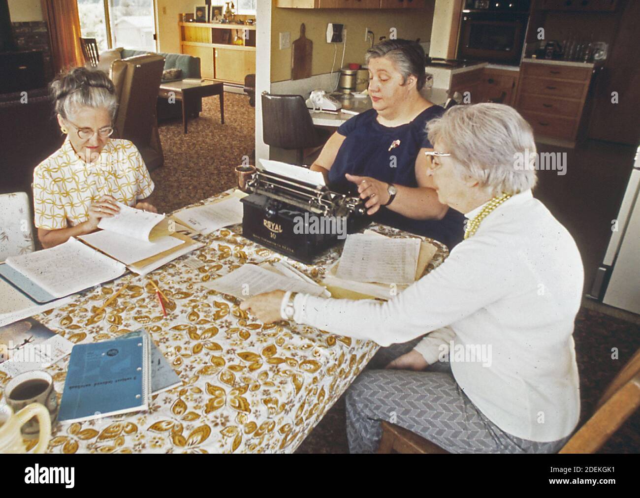 Photos des années 1970 (1972) - organisateurs d'un groupe environnemental local Banque D'Images