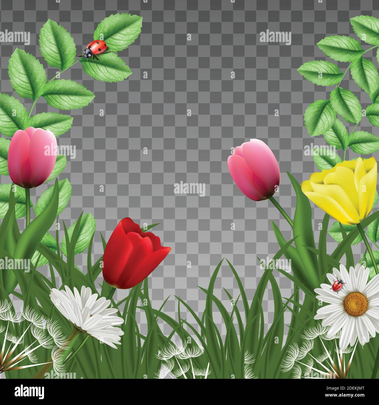 3d réaliste vecteur fantaisie beau vert floral fond carré cadre. Avec herbe verte de prêt et tulipes roses avec camomille et papillons et la Illustration de Vecteur