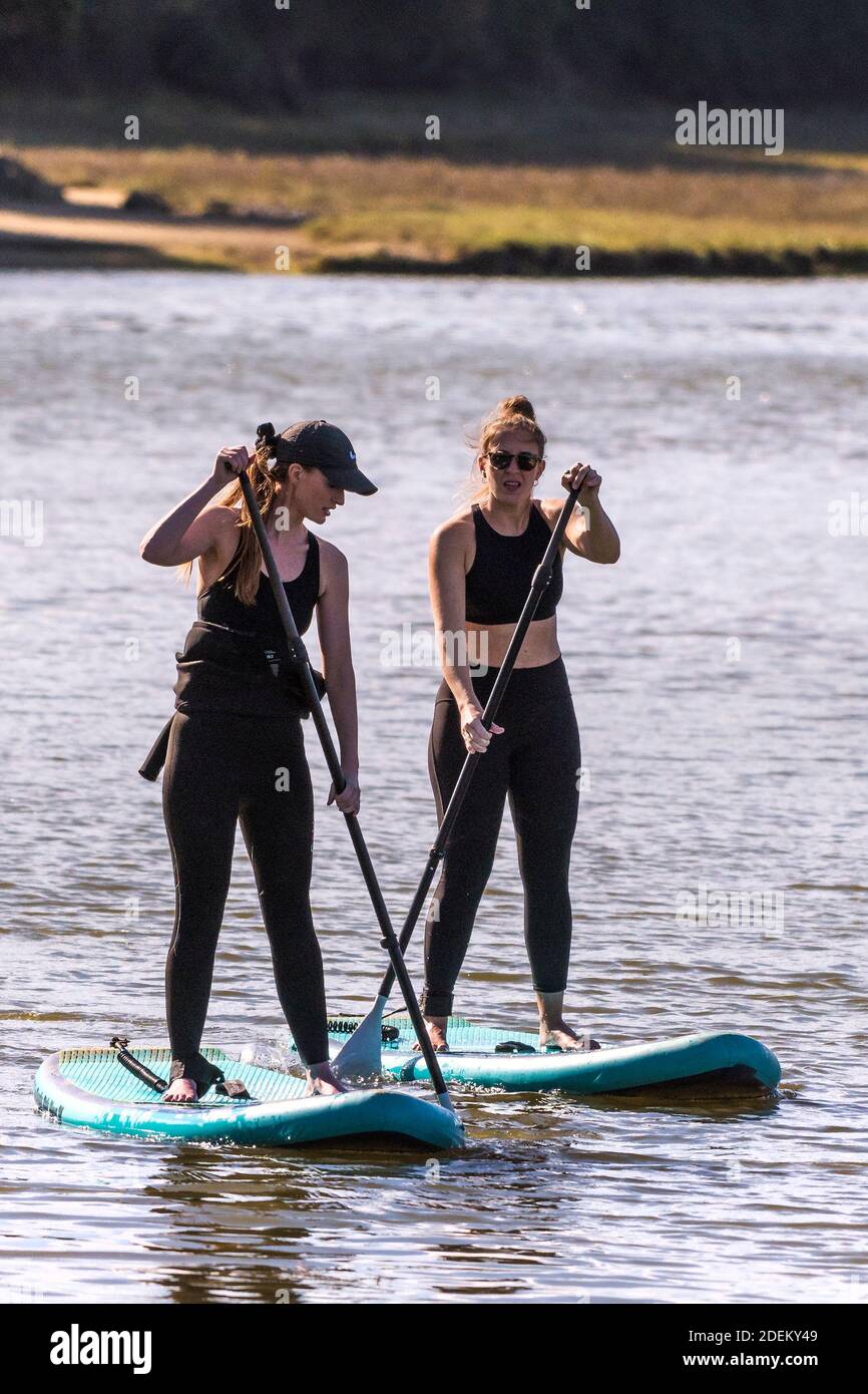 Deux femmes en vacances debout sur des planches à pédales Stand Up et pagayant sur la rivière Gannel à Newquay, en Cornouailles. Banque D'Images Deux femmes en vacances debout sur des planches à pédales Stand Up et pagayant sur la rivière Gannel à Newquay, en Cornouailles. Banque D'Images