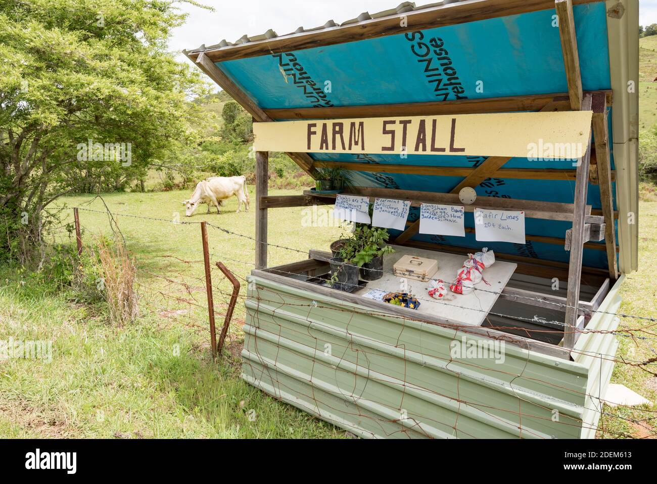Une ferme de campagne vendant des plantes et d'autres produits alimentaires aux chutes d'Ellenborough, en Nouvelle-Galles du Sud, en Australie Banque D'Images