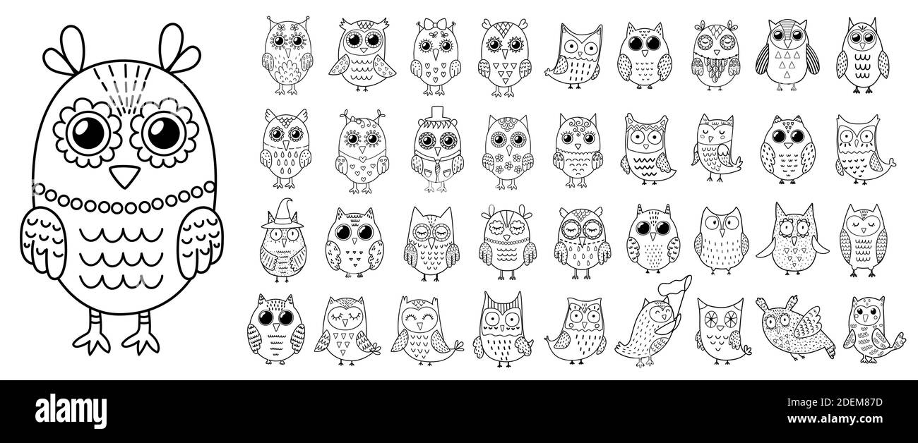 Jeu de clipart de hiboux noir et blanc. Ensemble de jolis personnages représentant un oiseau Illustration de Vecteur