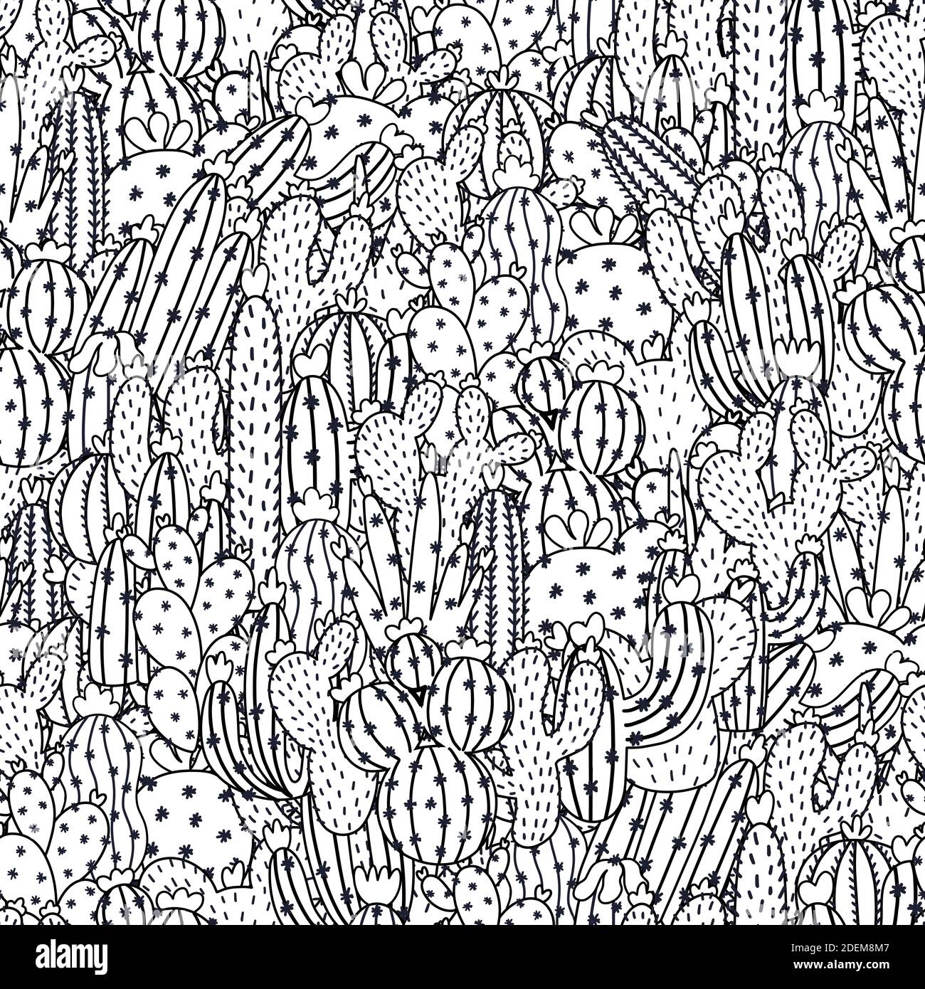 Cactus à motif noir et blanc sans couture pour livre de coloriage. Page de couleur succulente Illustration de Vecteur