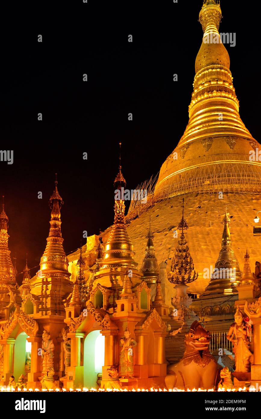 Complexe de la pagode Shwedangon doré à Yangon, Myanmar (ex-Birmanie), Rangoon. Beau et lumineux brillant or stupa en arrière-plan. Banque D'Images
