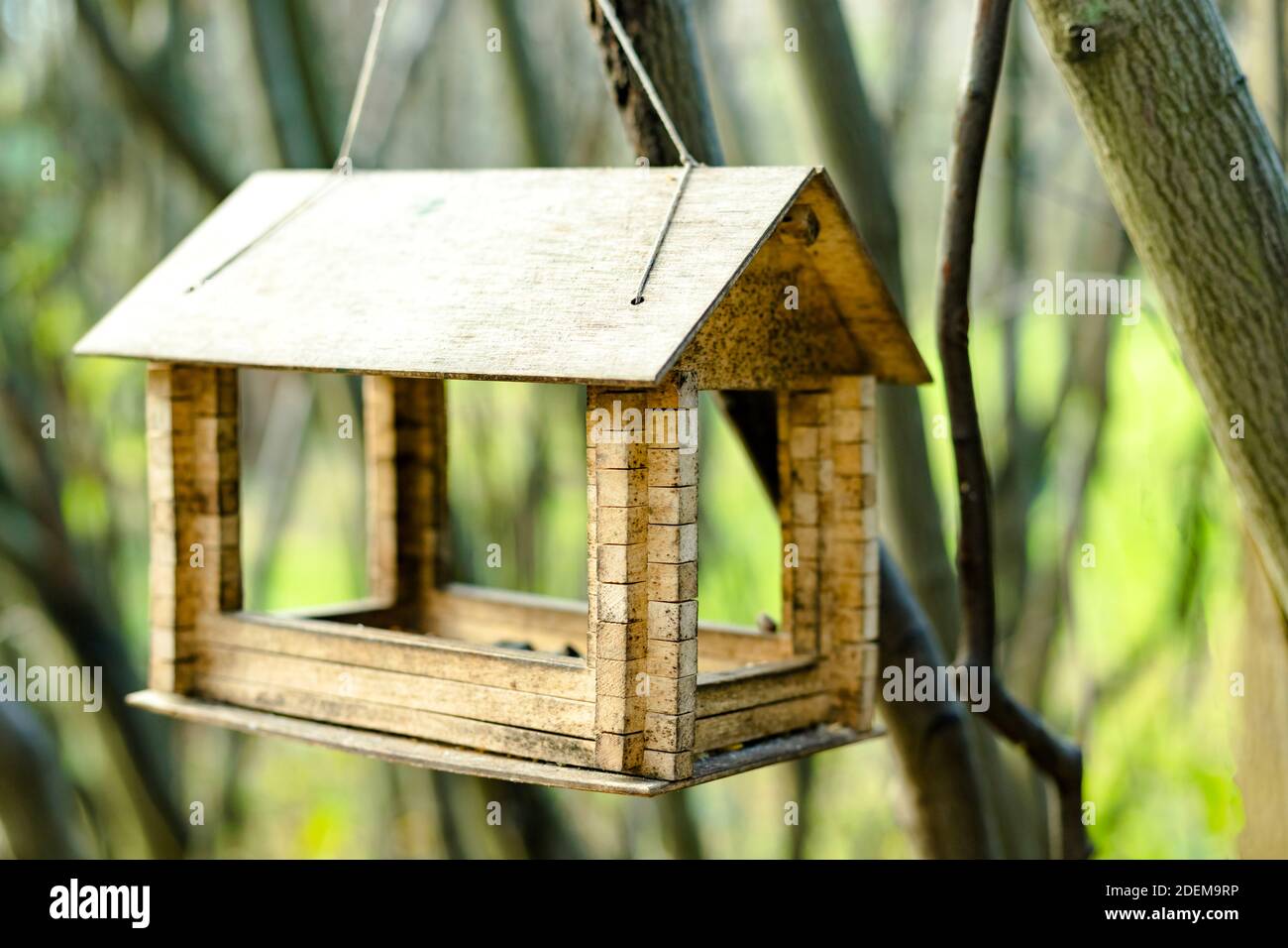 Maison d'alimentation d'oiseau et d'écureuil accrochée à l'arbre dans le parc de la ville sur un fond naturel flou Banque D'Images