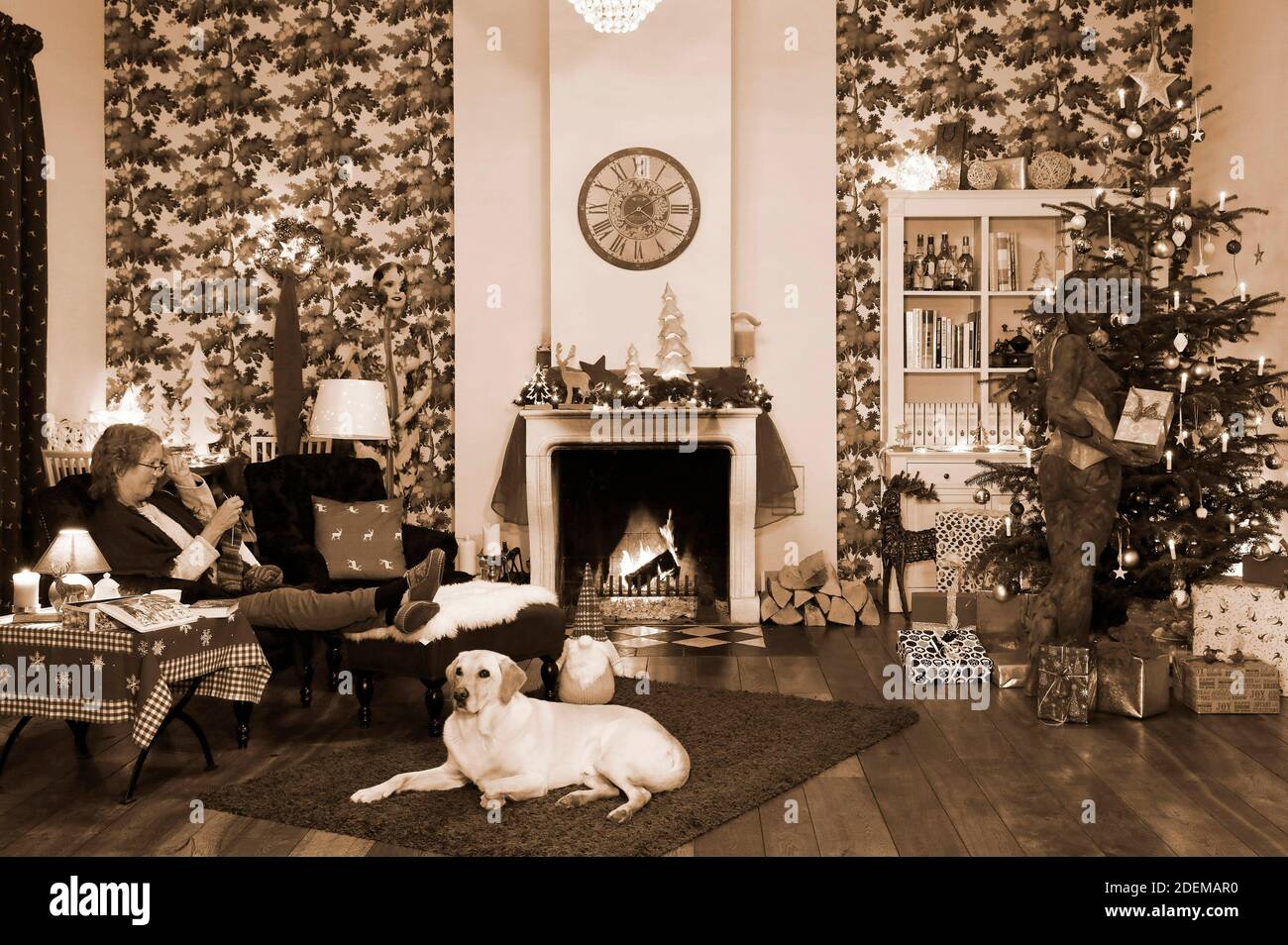 Peinture de Noël avec la grand-mère Sabine S., le chien Louis, le modèle Marilena comme lampe de plancher et le modèle Darky comme un cadeau au restaurant Castle Hehlen. Travail sur le clip de Noël "le Noël de l'artiste - UN Bodypainting clip vidéo de l'atelier Düsterwald" par Jörg Düsterwald et Alexander grosse-Strangmann. Hehlen le 28 novembre 2020 Banque D'Images