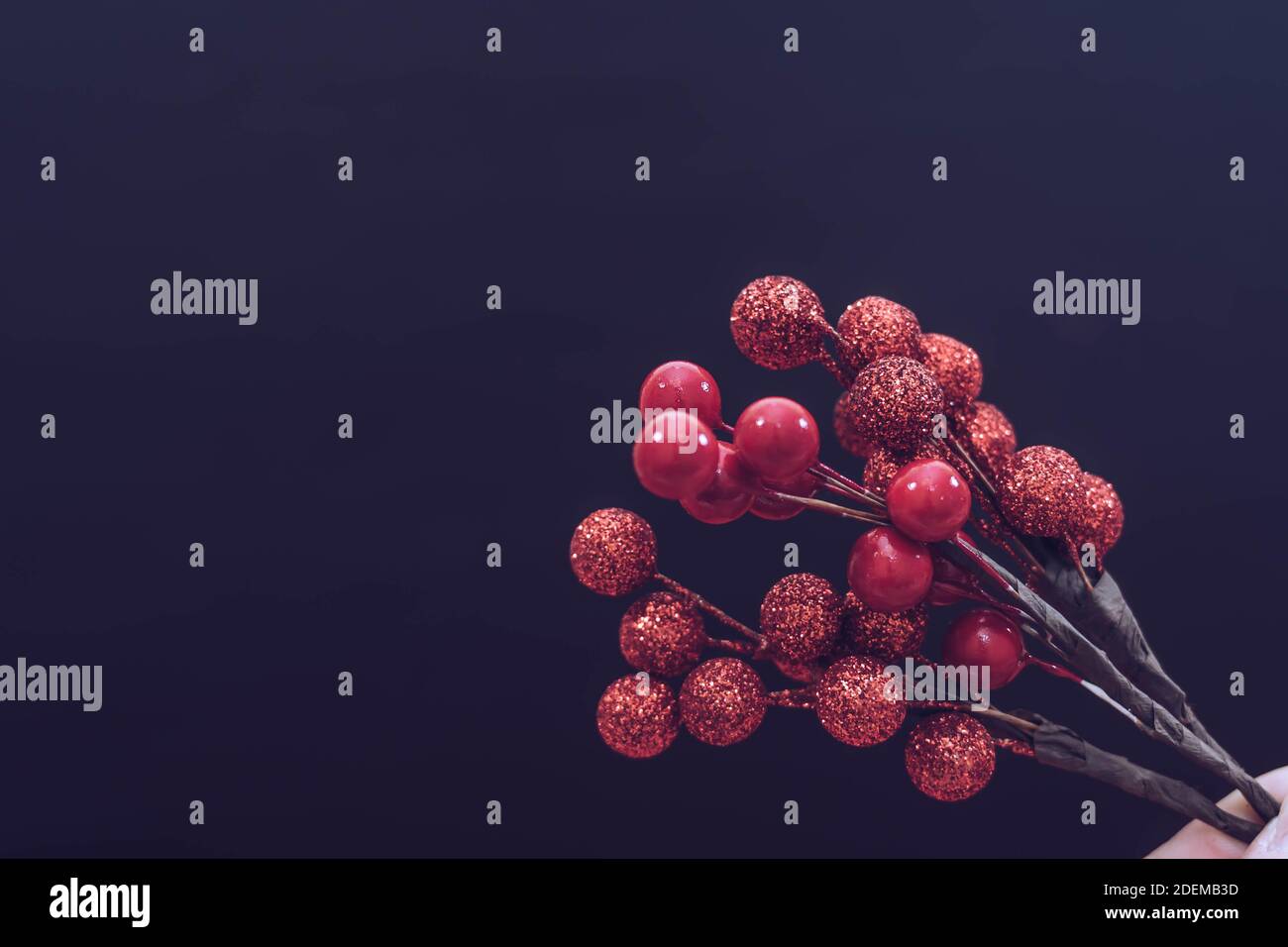 Branche avec baies rouges de noël sur fond noir. Décorations de Noël isolées sur fond noir. Arrière-plan de Noël. Banque D'Images