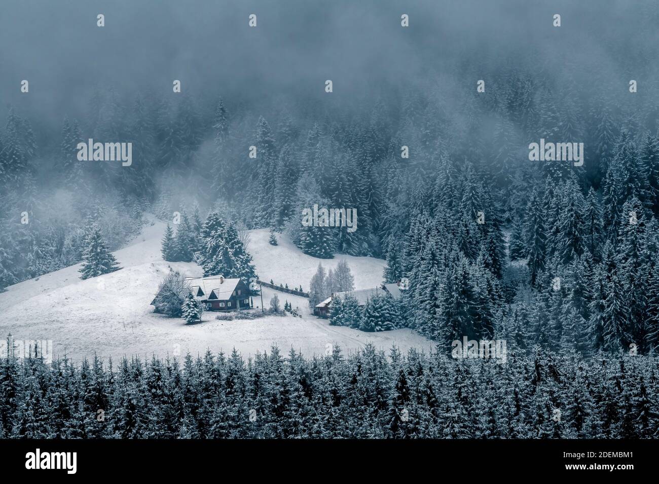Paysage d'hiver, paysage de Bucovina, maison couverte de neige entourée, cartes de vœux de Noël Banque D'Images