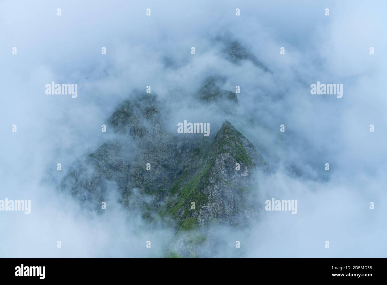 Piau-Engaly, Réserve naturelle de Néouvielle, Vallée d'Aure, l'Occitanie, Hautes-Pyrénées, France, Europe Banque D'Images