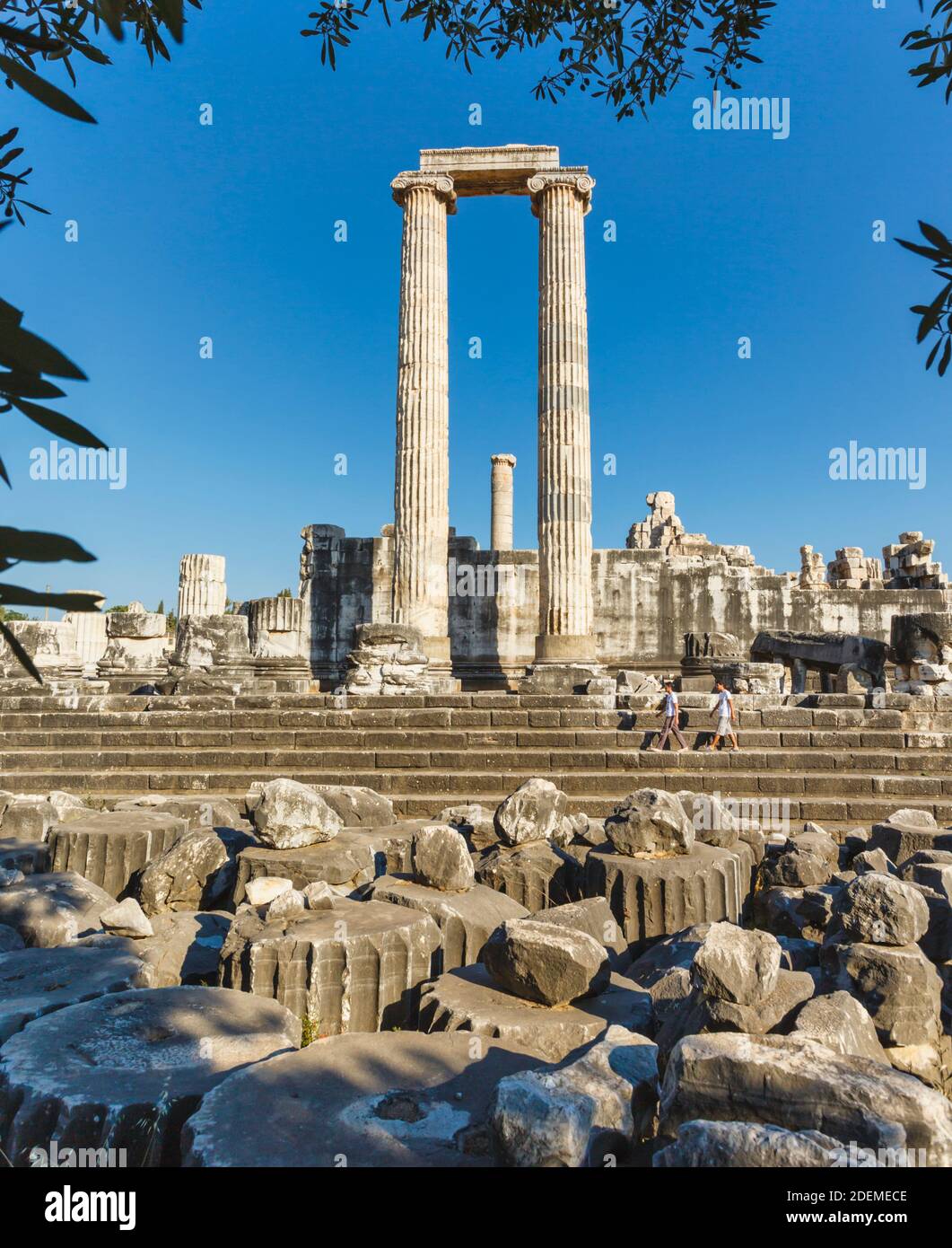 Ruines de l'ancien Didyma à Didim, province d'Aydin, Turquie. Temple d'Apollon. Banque D'Images