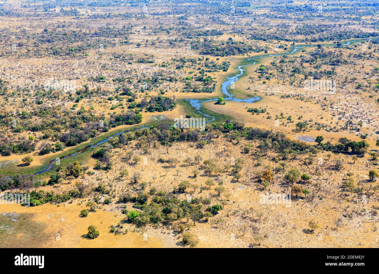 Vue panoramique aérienne sur la réserve naturelle de Moremi, avec une voie navigable dans le delta d'Okavango dans le Kalahari, au nord du Botswana, en Afrique australe Banque D'Images