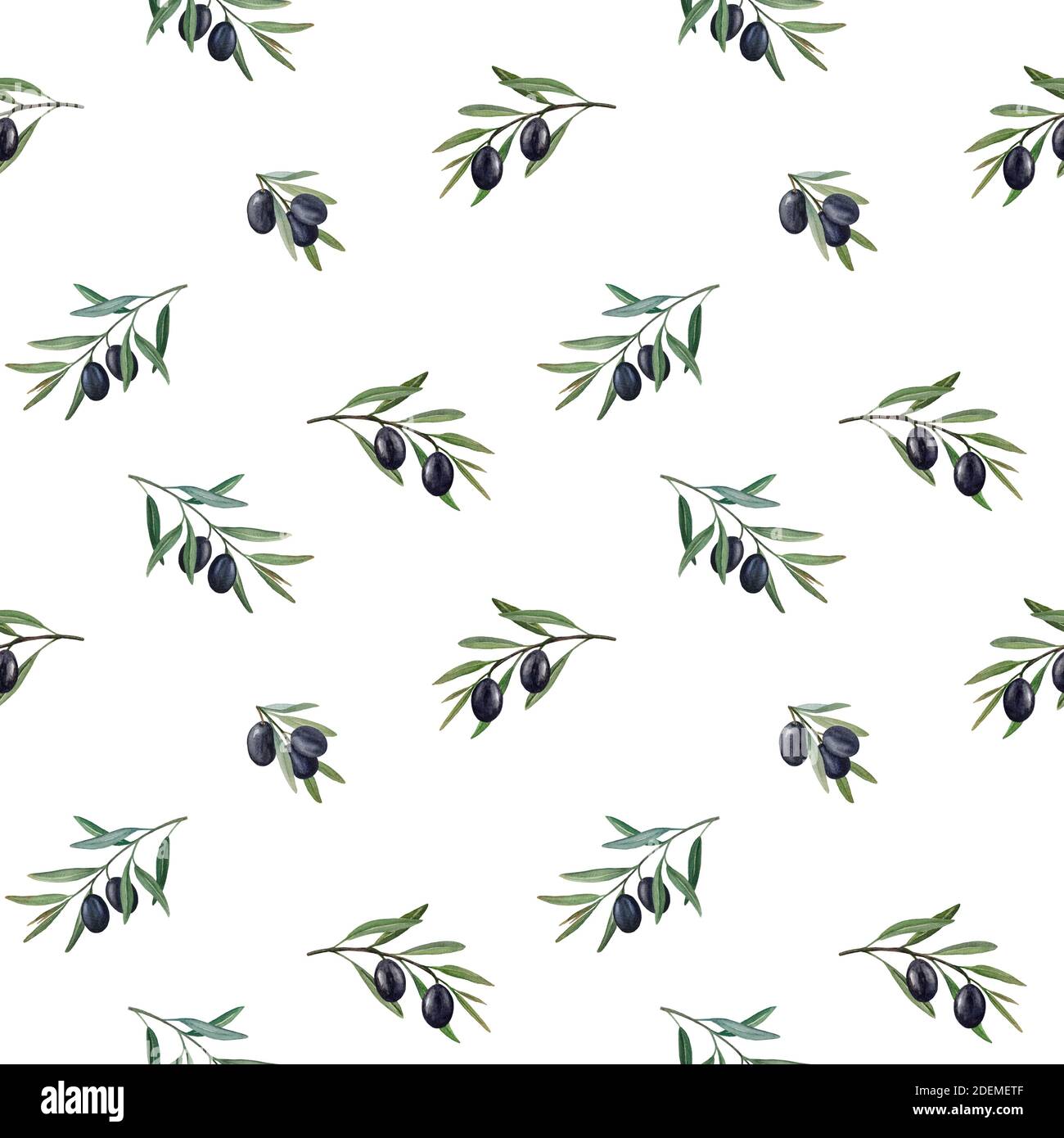 Motif aquarelle noir olives Banque D'Images