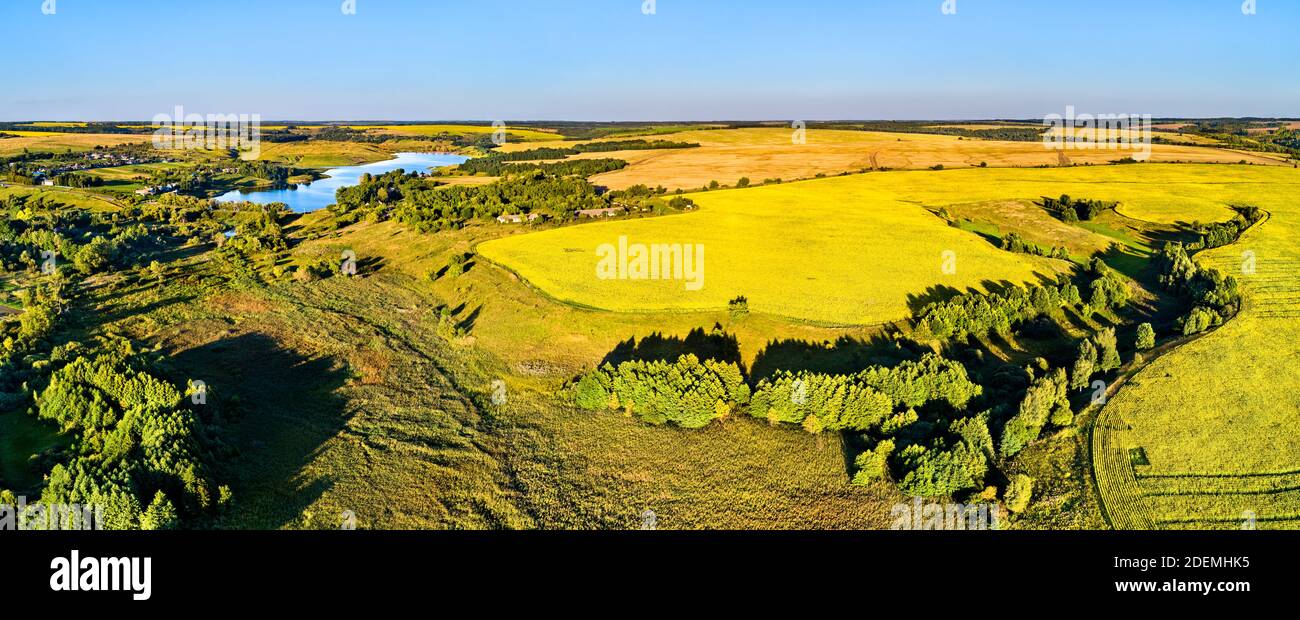 Paysage russe Chernozemye d'antenne. Nikolayevka village, Kursk region Banque D'Images