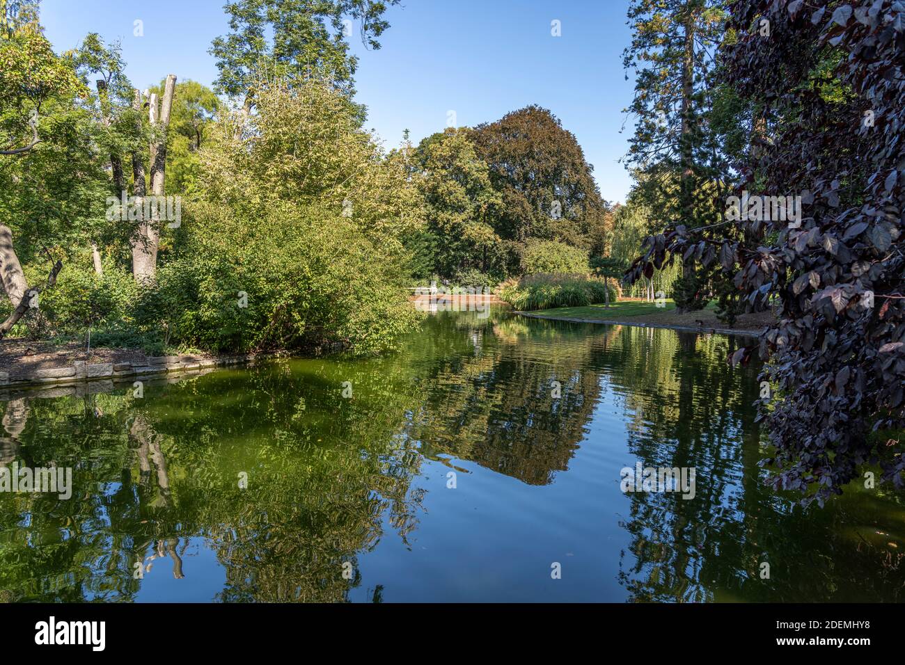 Voir im Wiener Stadtpark, Wien, Österreich, Europa | Lac dans le parc de la ville de Stadtpark, Vienne, Autriche, Europe Banque D'Images