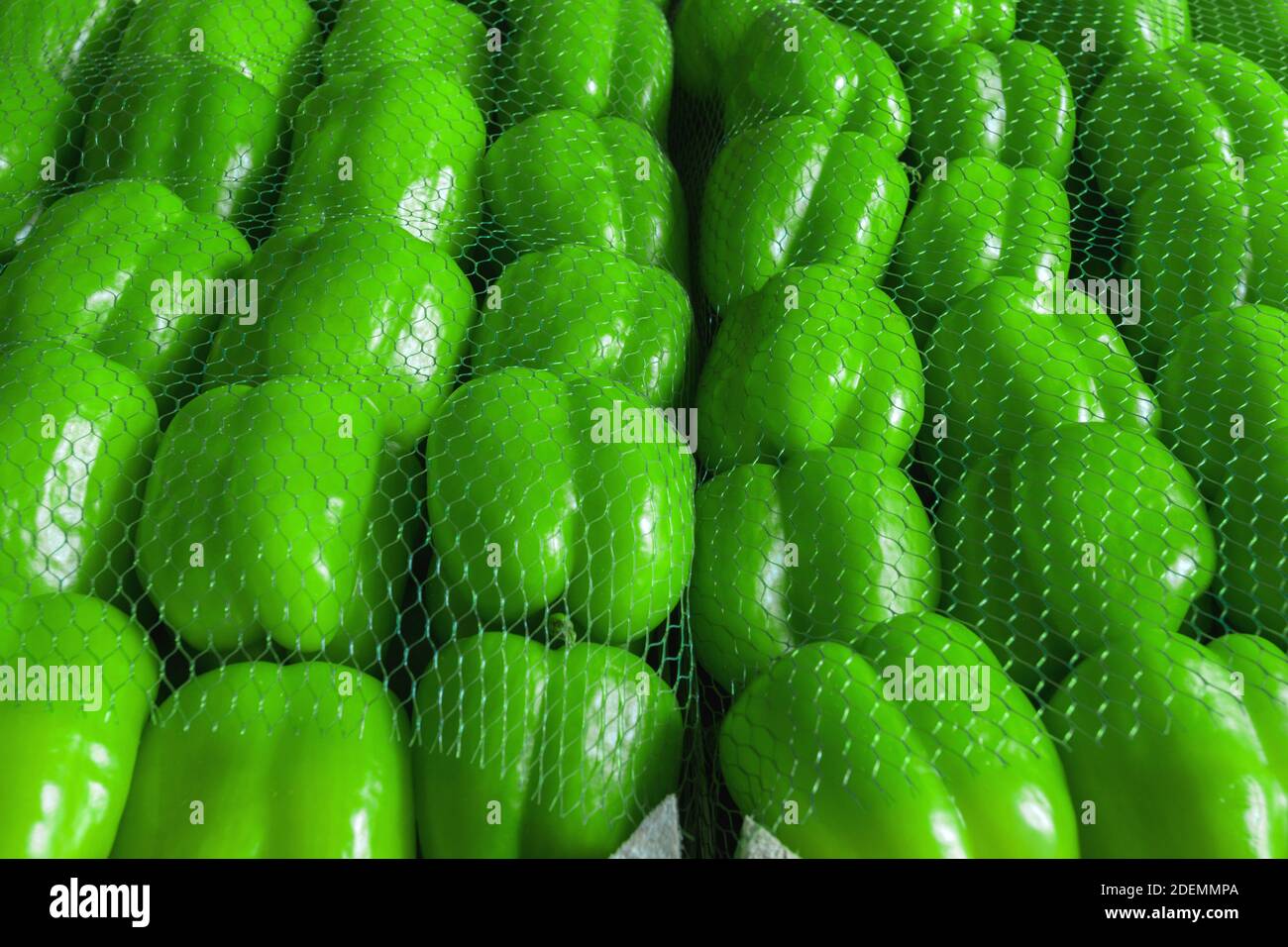 Poivrons verts au marché des légumes ou au magasin de gros. Fond de poivre. Banque D'Images