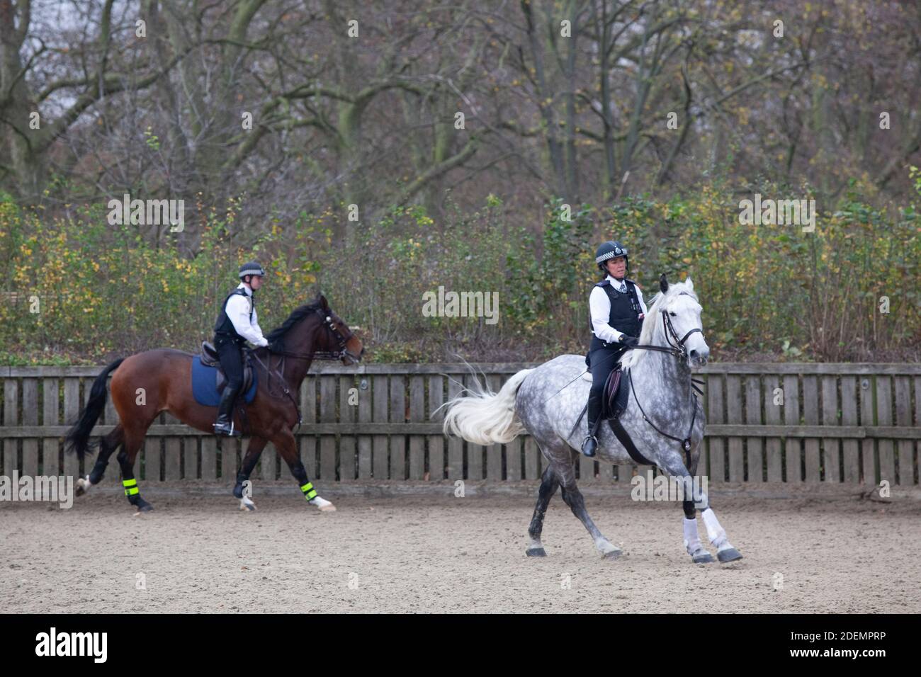 Londres, Royaume-Uni, 25 novembre 2020 : des policiers de la Metropolitan police Force de Londres s'entraînent avec leurs chevaux à Hyde Park. Anna Watson/Alay Live News Banque D'Images