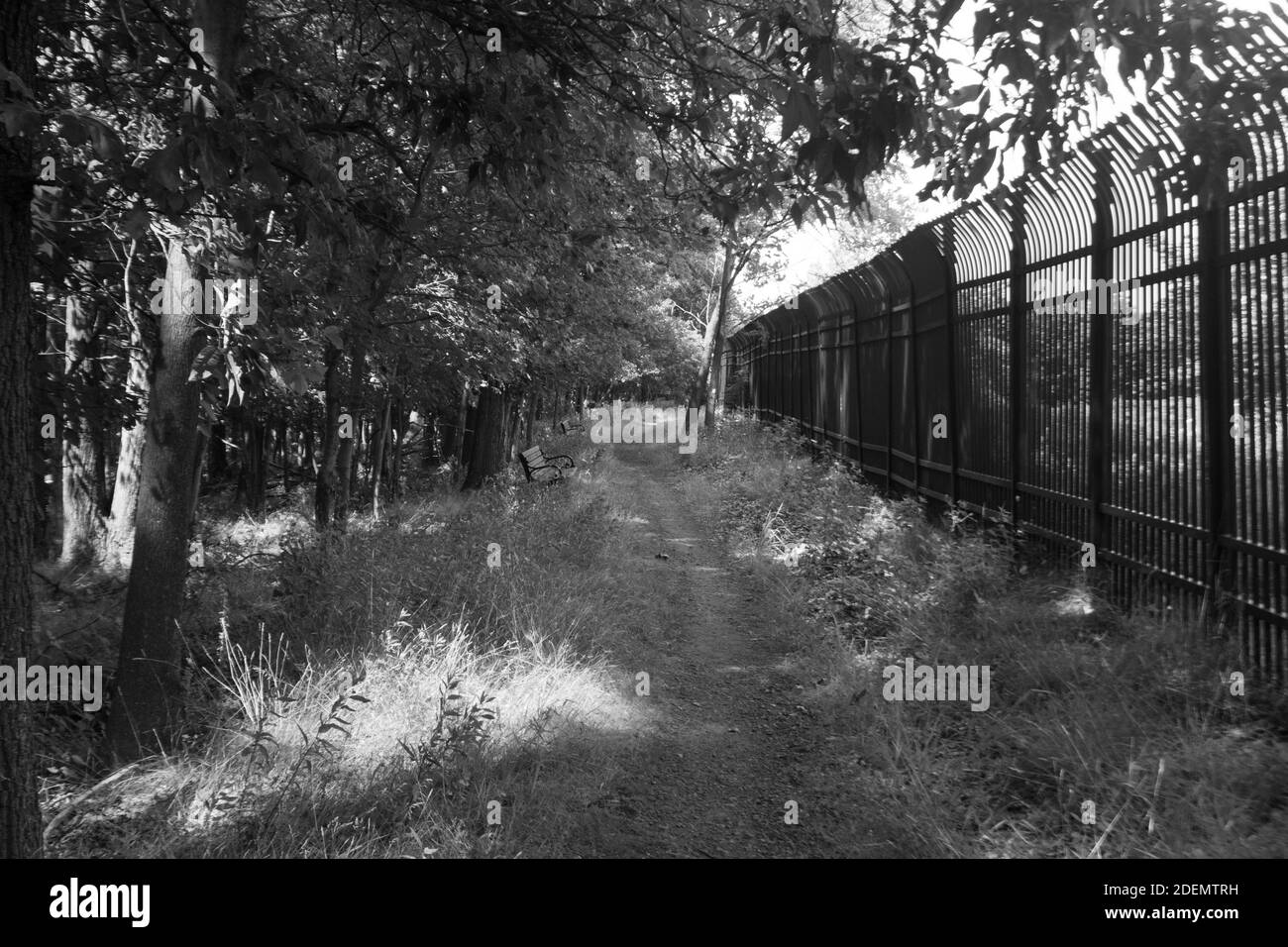 WOODLAND PARK, ÉTATS-UNIS - 20 septembre 2020 : sentier dans les bois, petit déjeuner et déjeuner le 9/19/2020 Banque D'Images