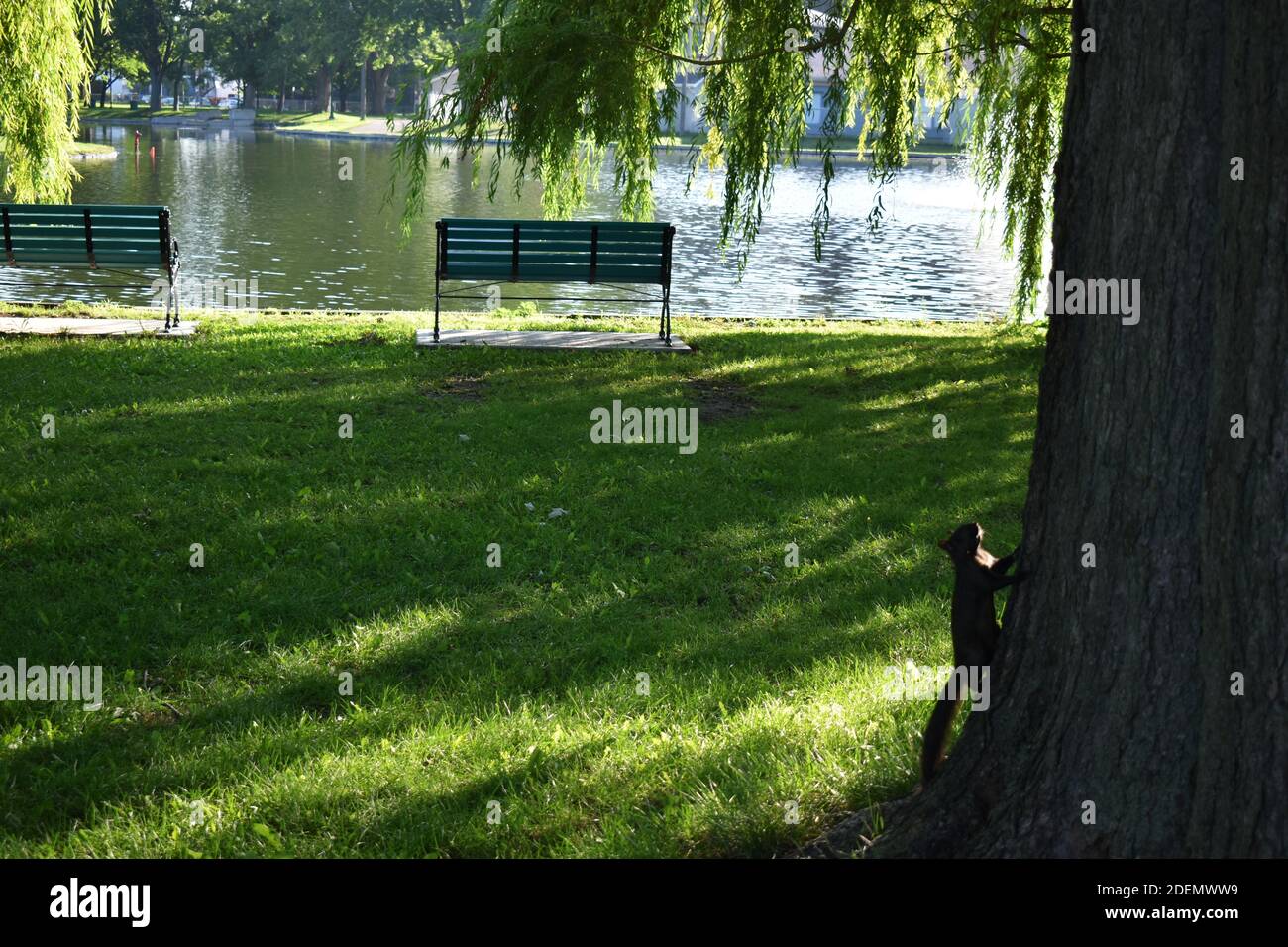 Le parc Pie XII en été, trois-Rivières Banque D'Images