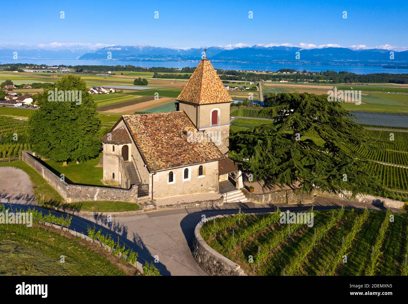 Die Kirche la Sentinelle, die Wächterin, in der Weinbauregion la Côte am Genfersee, Luins, Waadt, Schweiz / l'église de la Sentinelle, le Guardian, Banque D'Images