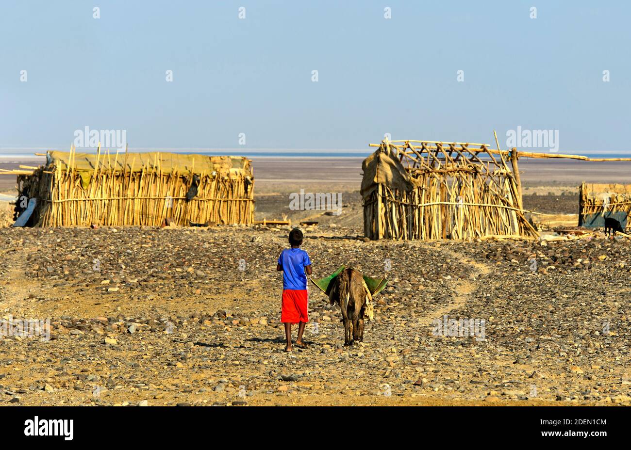 Kleiner Junge mit Esel in der Wüstensiedlung Hamadela, hinten traditionelle Unterkünfte der Afar Nomaden, HamadelaDanakil Senke, région d'Afar, Äthiopie Banque D'Images