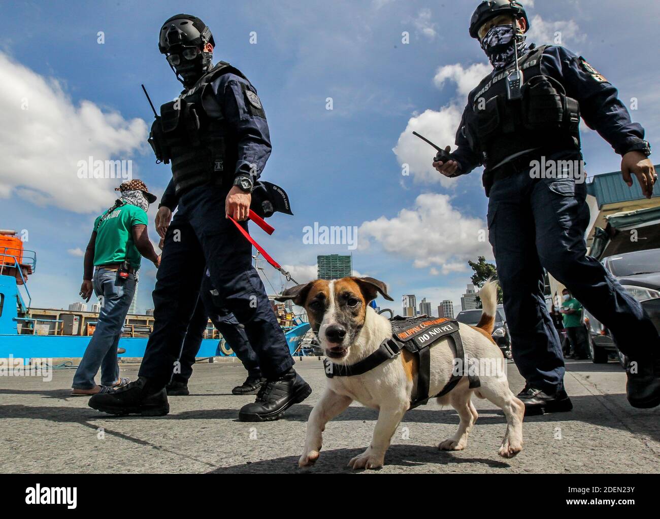 Manille, Philippines. 1er décembre 2020. Un chien qui prend la bombe est vu avec des membres de l'unité K9 de la Garde côtière des Philippines (PCG) lors d'une alerte à la bombe et d'un exercice de capacité d'intervention en cas de prise d'otages à un quai à Manille, aux Philippines, le 1er décembre 2020. Le PCG, la police nationale des Philippines (PNP) et l'Autorité portuaire des Philippines (APP) ont mené l'exercice pour montrer leurs capacités à assurer la sécurité des ports maritimes, en particulier pendant la prochaine période des fêtes. Crédit: Rouelle Umali/Xinhua/Alamy Live News Banque D'Images