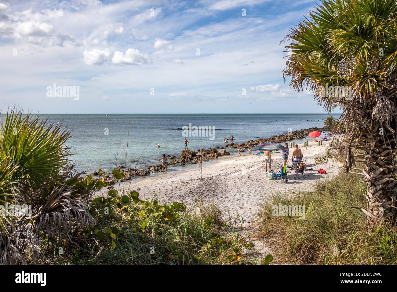 Personnes sur la plage de Caspersen sur le golfe du Mexique dans Venise Floride aux États-Unis Banque D'Images