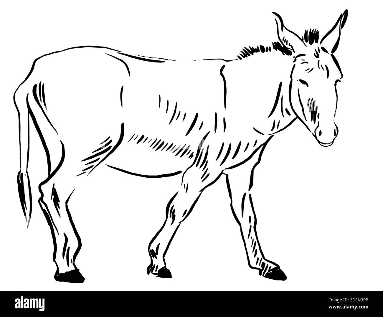 Croquis de graphiques vectoriels monochromes. Illustration isolée sur fond blanc Illustration de Vecteur