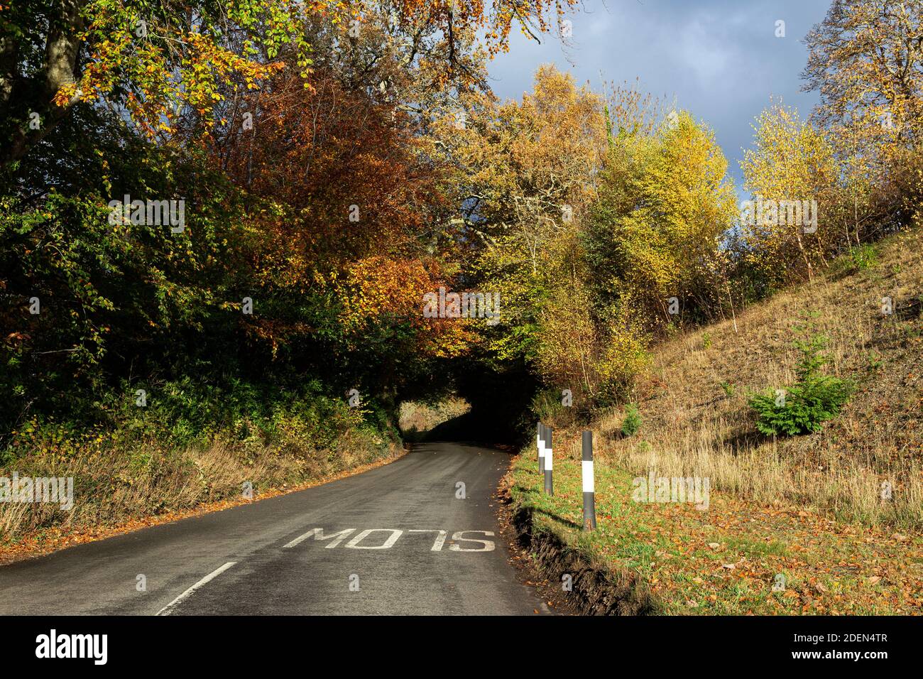 Asphalte, automne, couleur des feuilles d'automne, Bush, Curve, Dartmoor, Day, Devon, ligne de division - marquage routier, allée, conduite, vide, Angleterre, sentier, Fore Banque D'Images