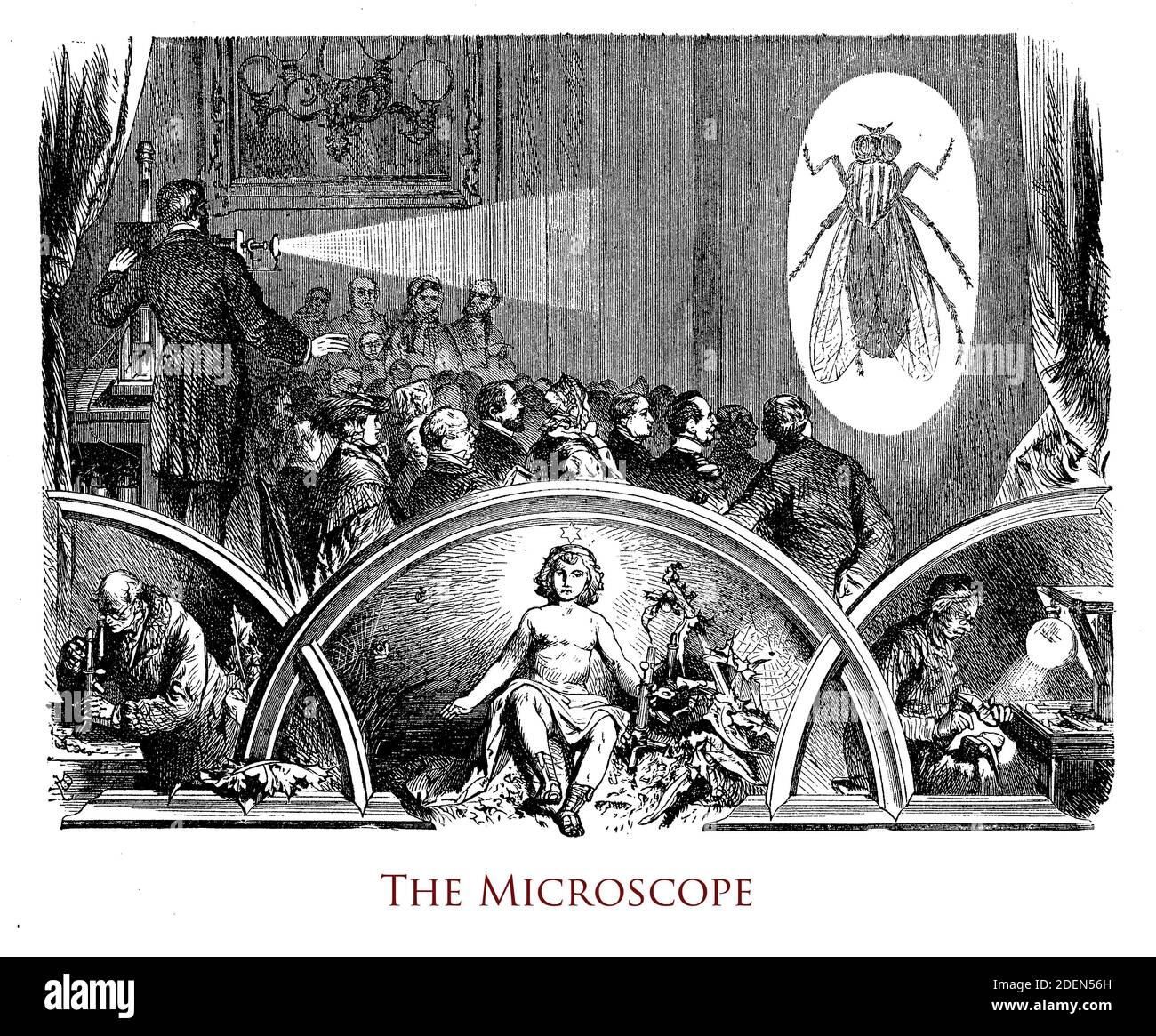 Image de chapitre avant typographique d'un livre vintage sur le microscope décoré de vignettes illustrant des personnes qui étudient de petits objets Banque D'Images