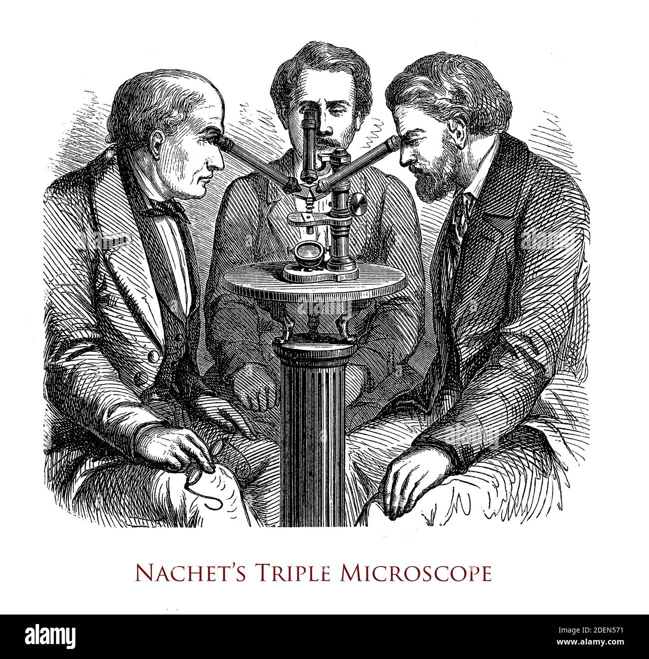 Triple microscope réalisé par l'opticien Camille Sébastien Nachet à Paris, XIXe siècle Banque D'Images